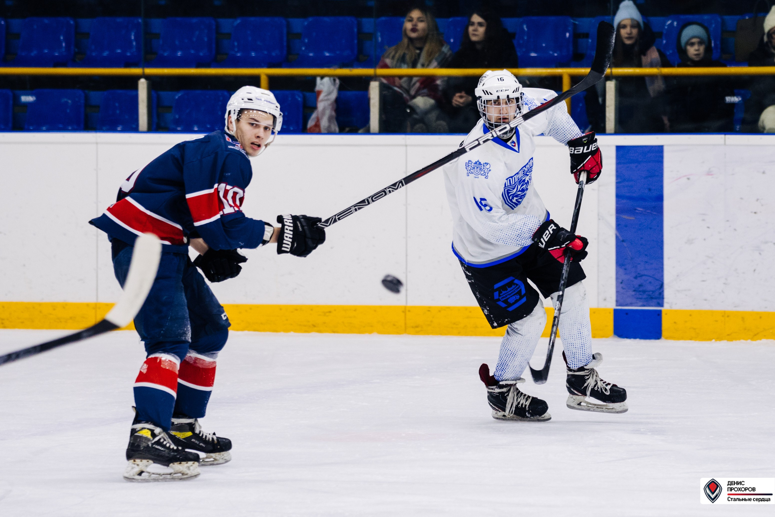 Чемпионат СХЛ // 03.03.24. Денис Прохоров Фотограф в г. Магнитогорск