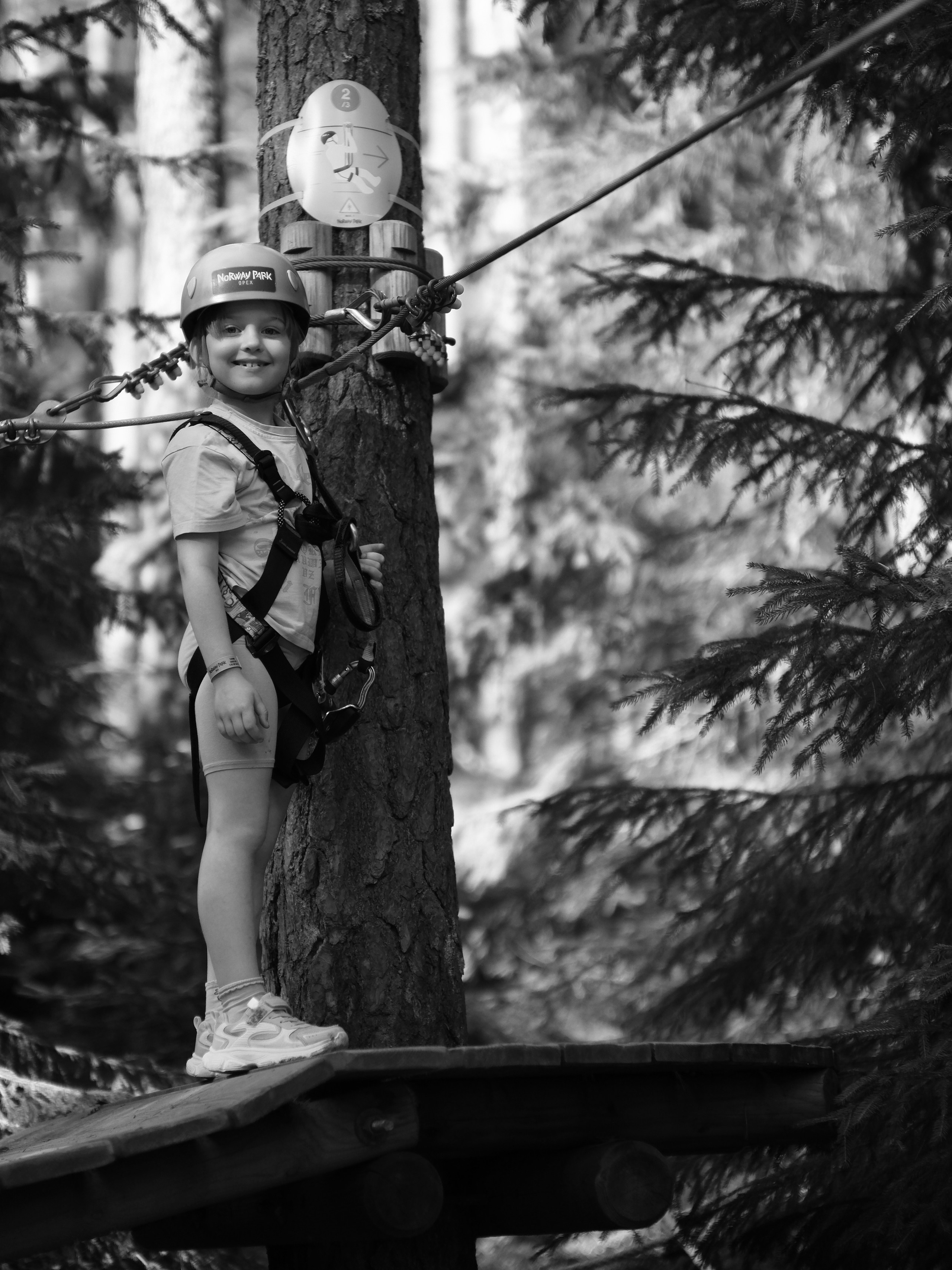 2026.07 Веревочный парк Norwey Park «Орех». Любитель фотографии Алексей Ковалев
