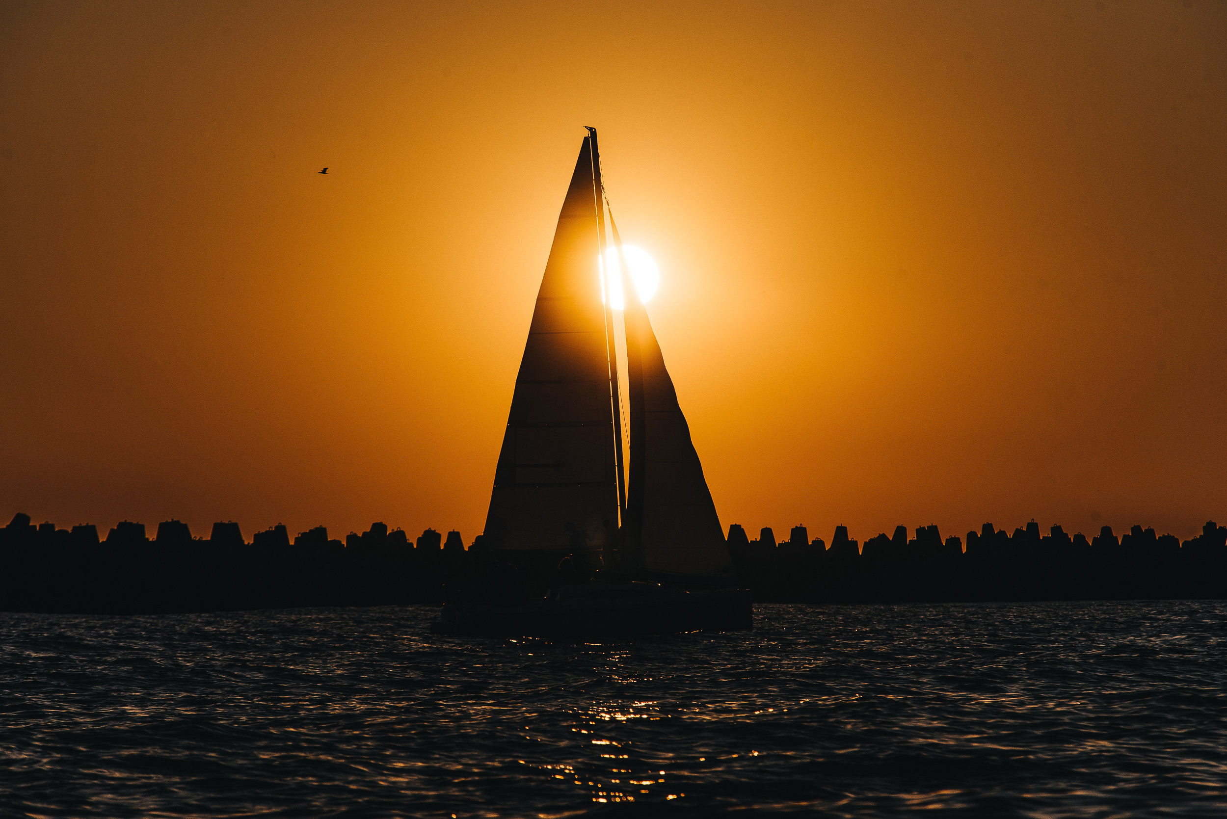 Портфолио. Фотограф Илья Бызов, Свадебный и репортажный фотограф Сочи