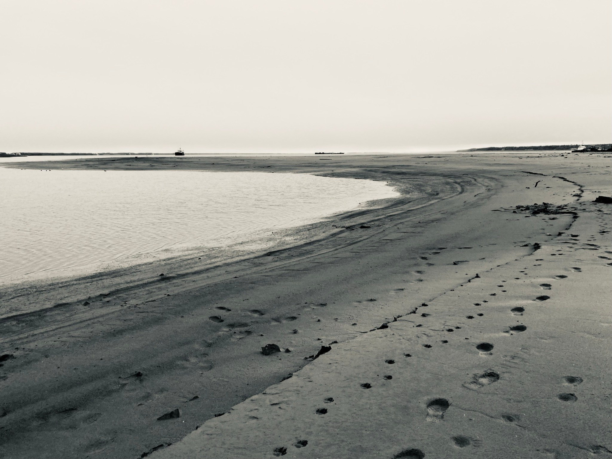 Черно-белое. Фотограф Екатерина Зорина