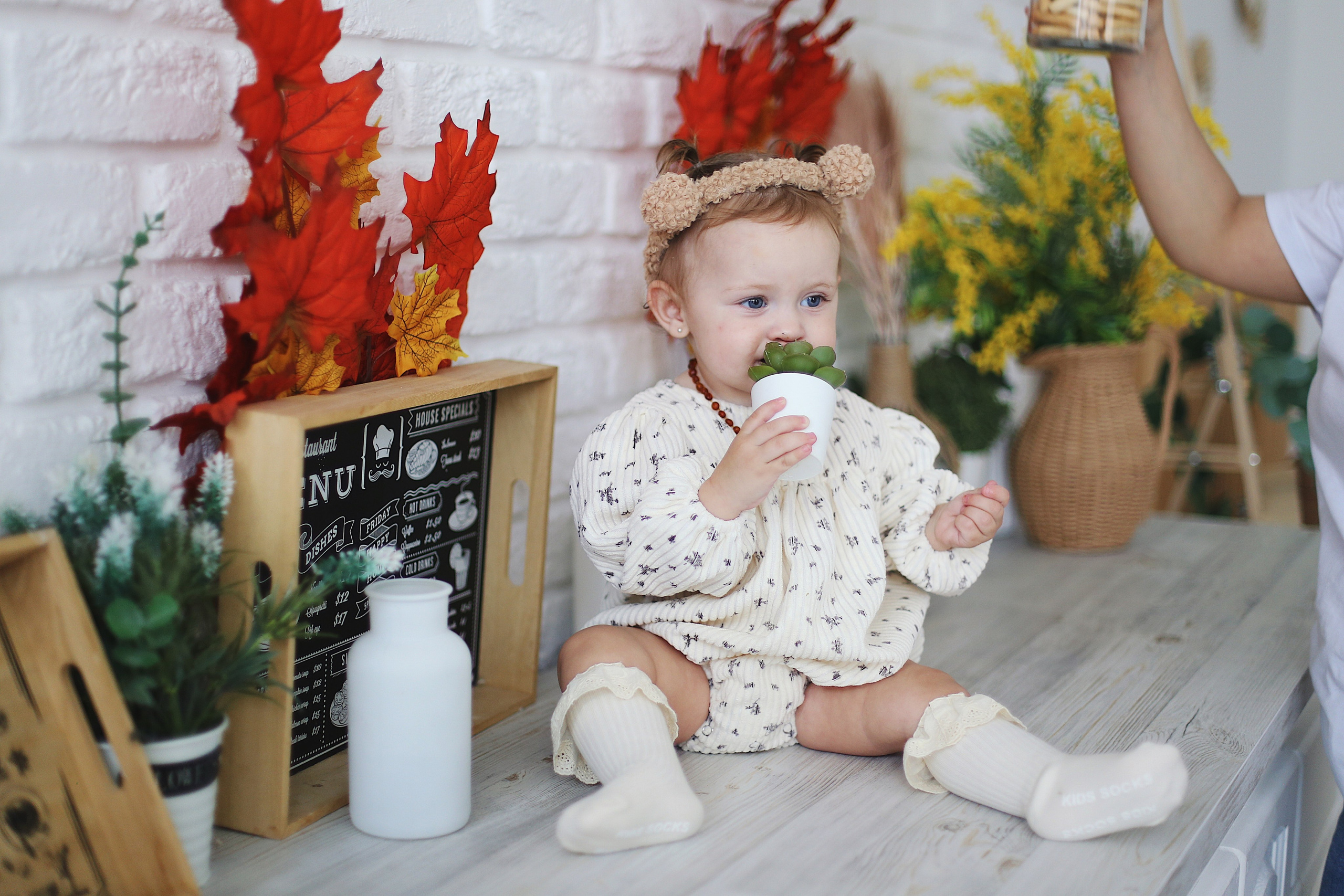 Варвара 1 годик. Фотограф Пирумян Анна. г. Сургут, г. Воронеж