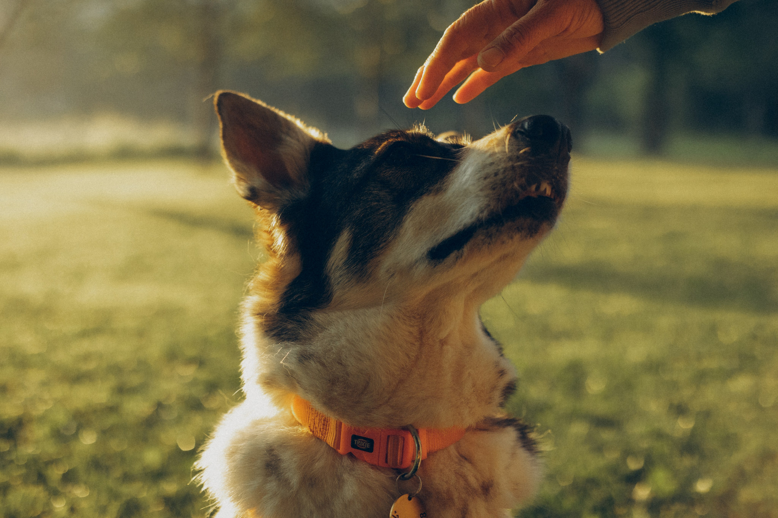 Варя и Зося. Татьяна Афонина | Фотограф