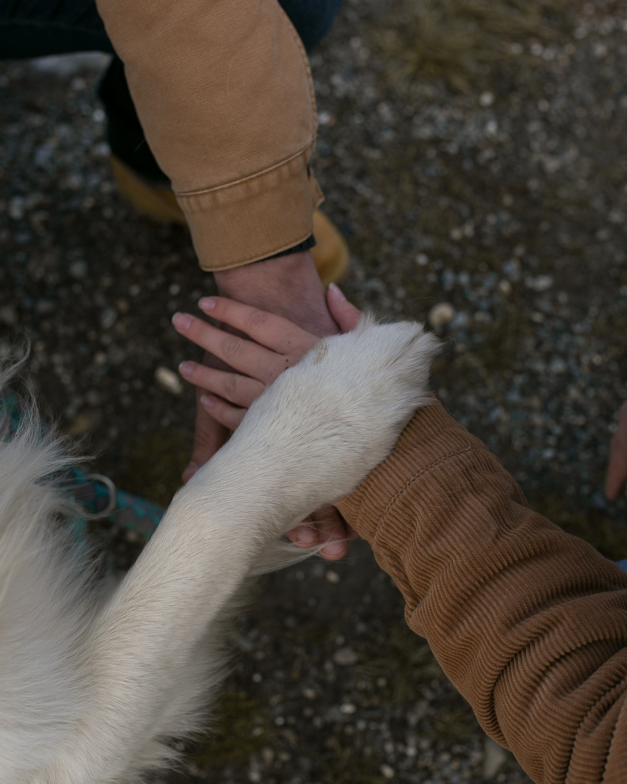 Камий и Максим (и Ральф)