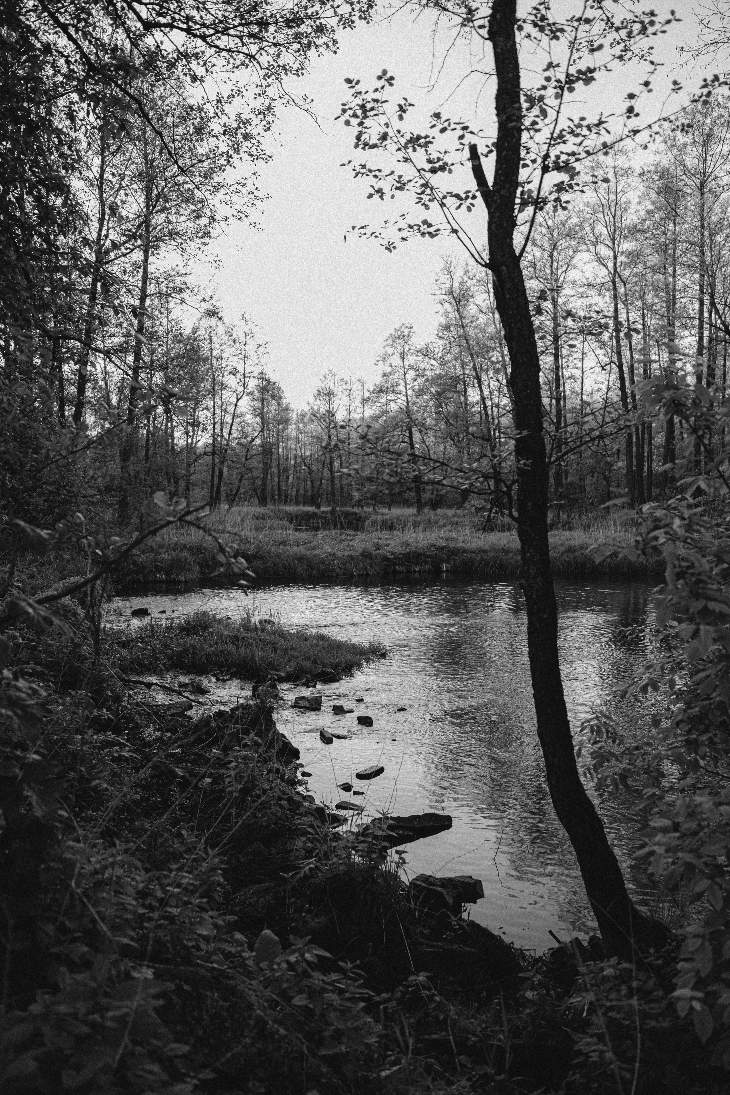 Алина. Фотограф в Коврове и области Филенкова Дарья