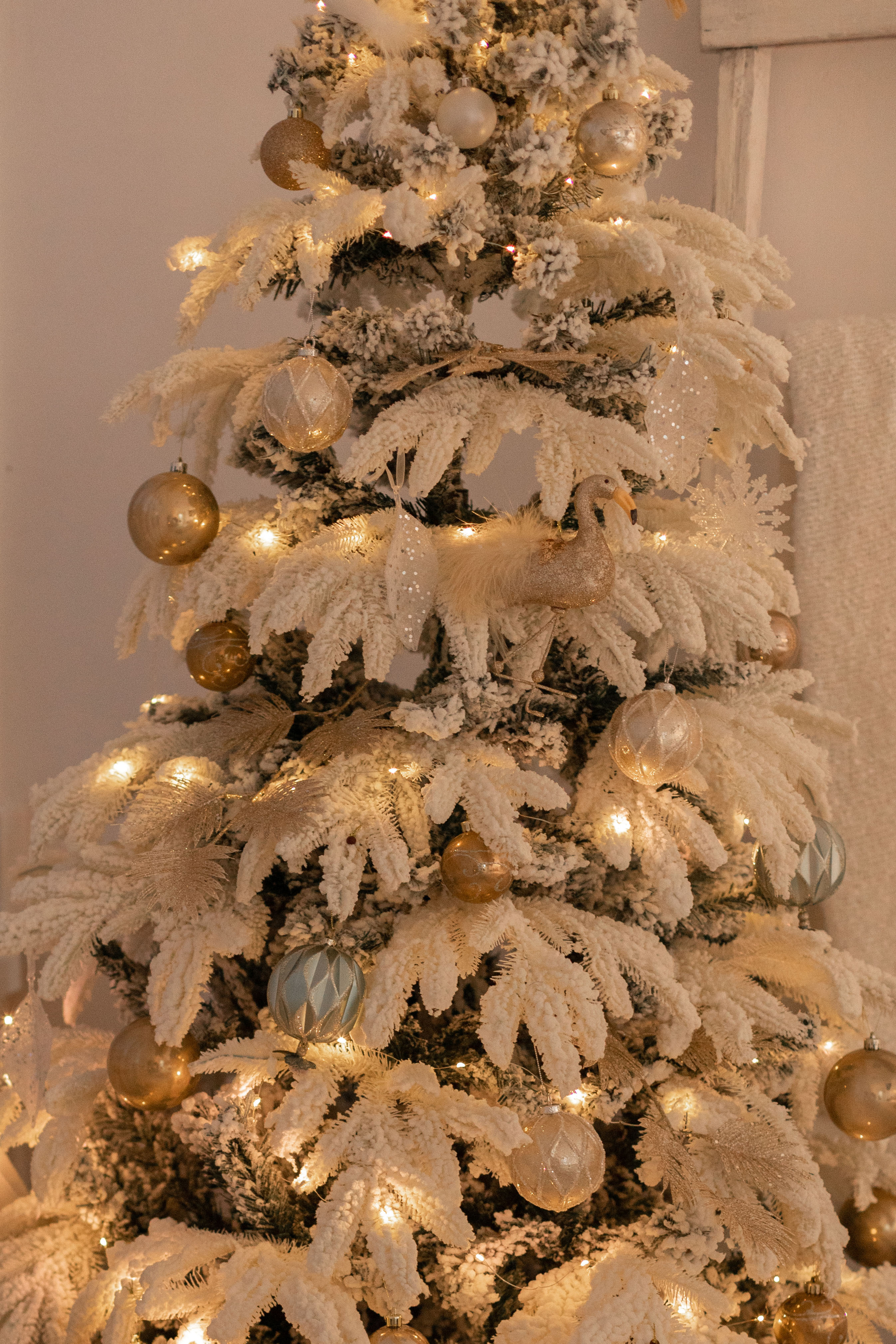 Фотостудия «Белый кролик» зал Романтик. Свадебный фотограф в Ростове Александра Груздева