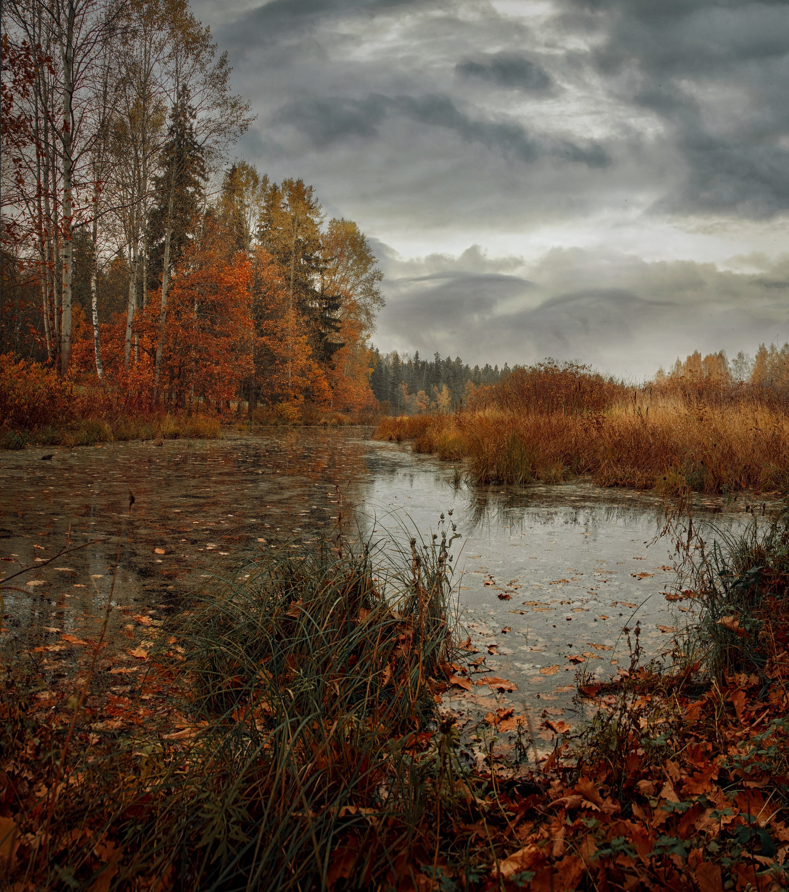 Пейзаж. Детская Конная фотография в Москве Юлия Шепелева
