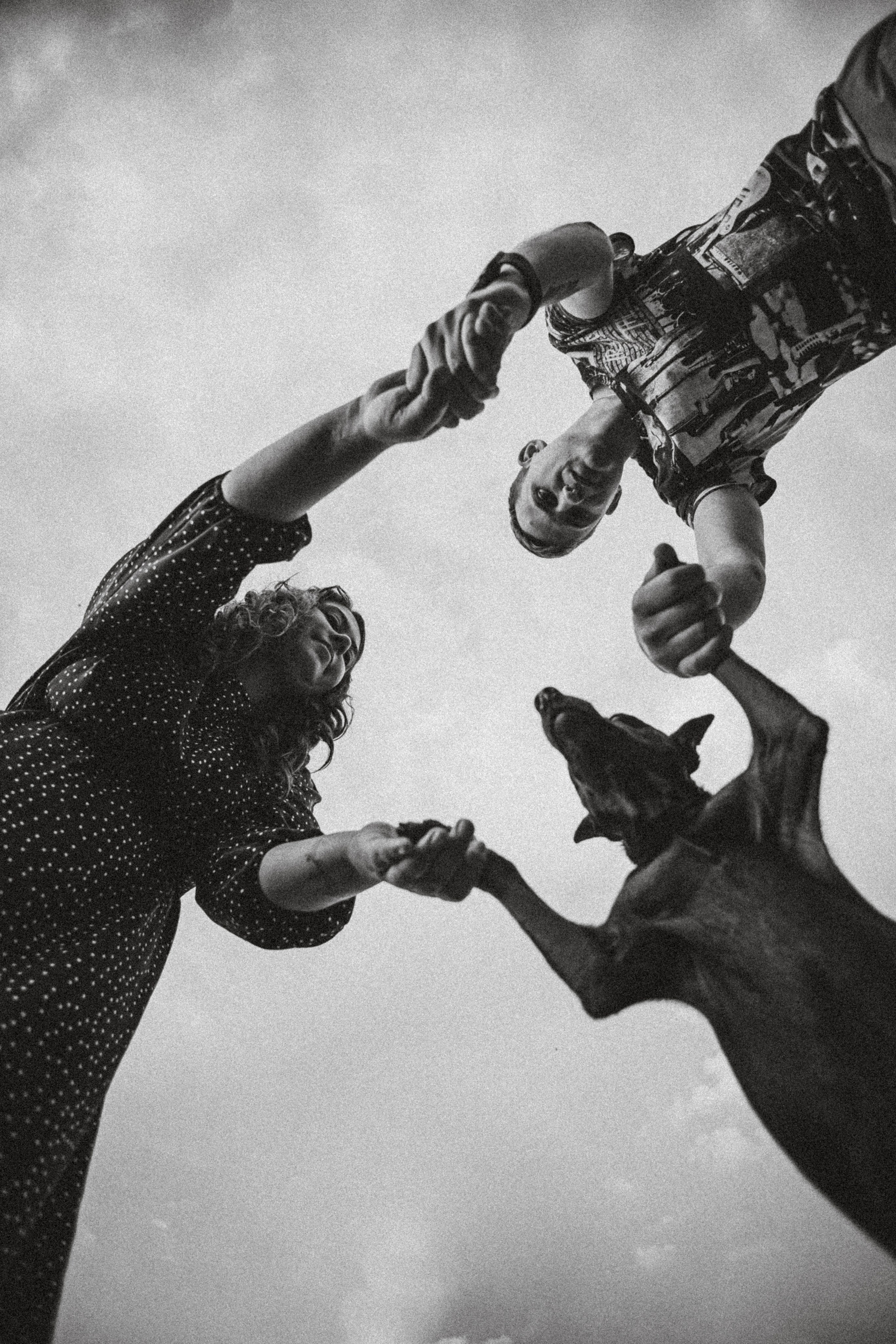 Какой объектив выбрать для съемки животных?