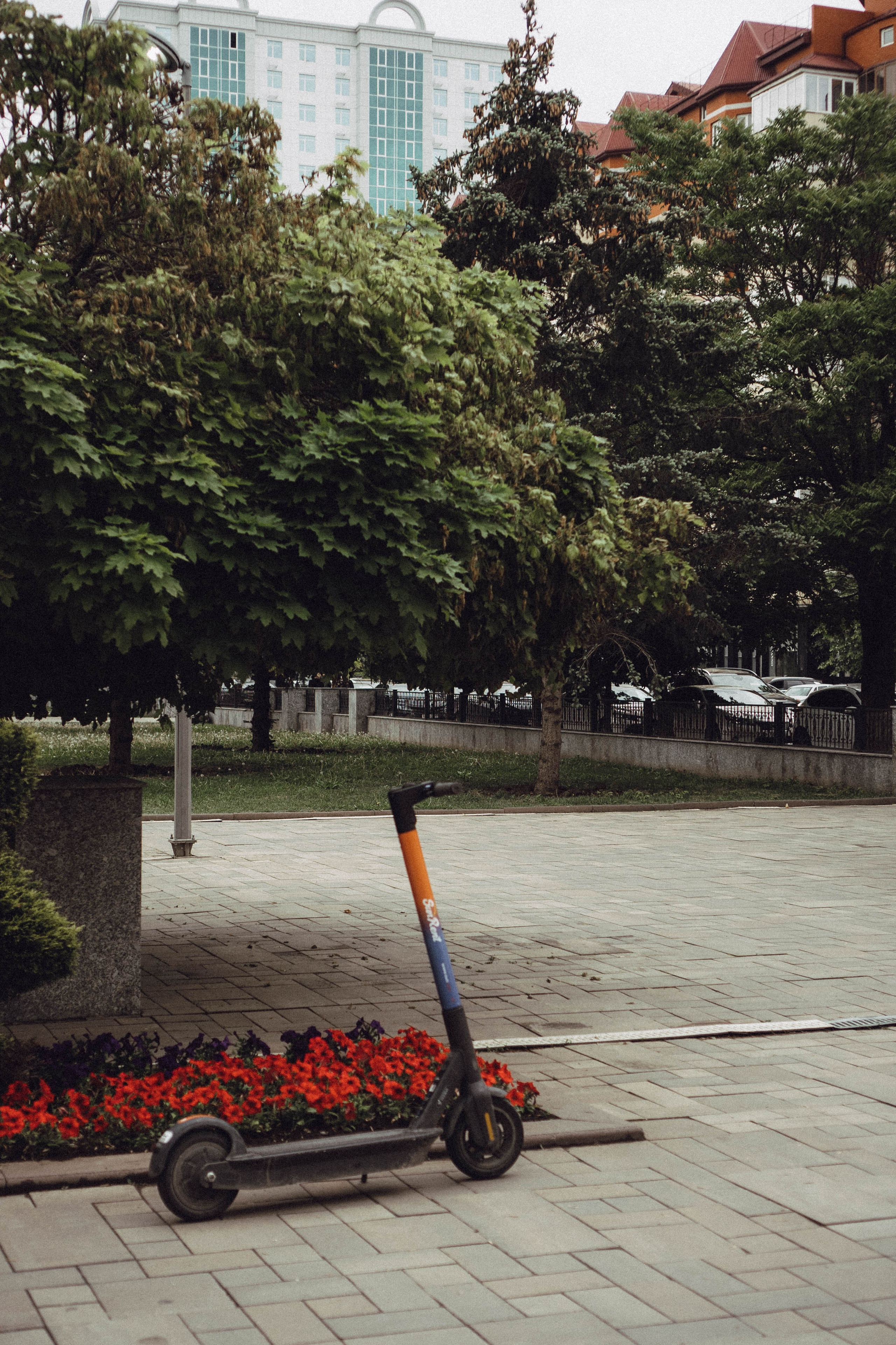 Кавказ. Профессиональный фотограф, Санкт-Петербург — Виктория Богомолова