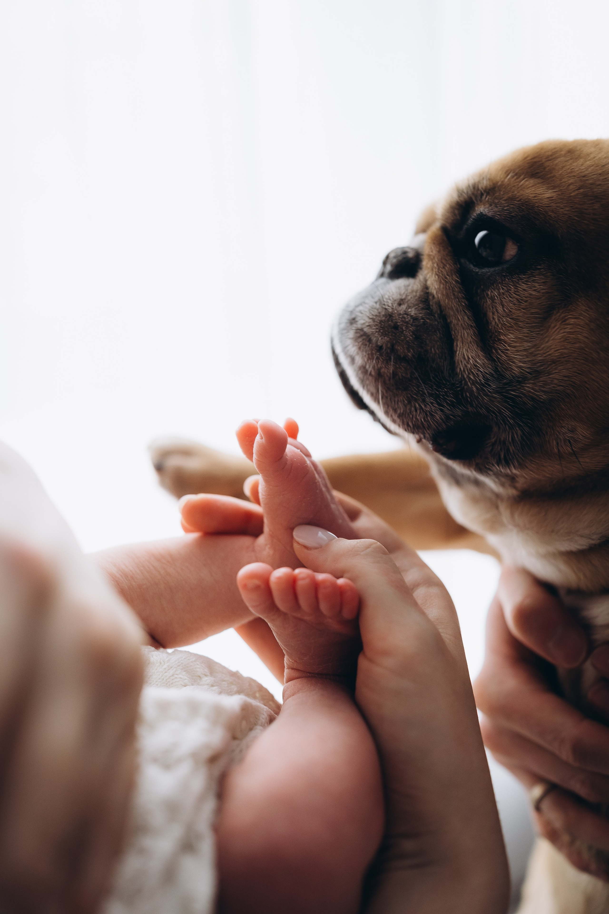 Майя. Евгения Пелипас