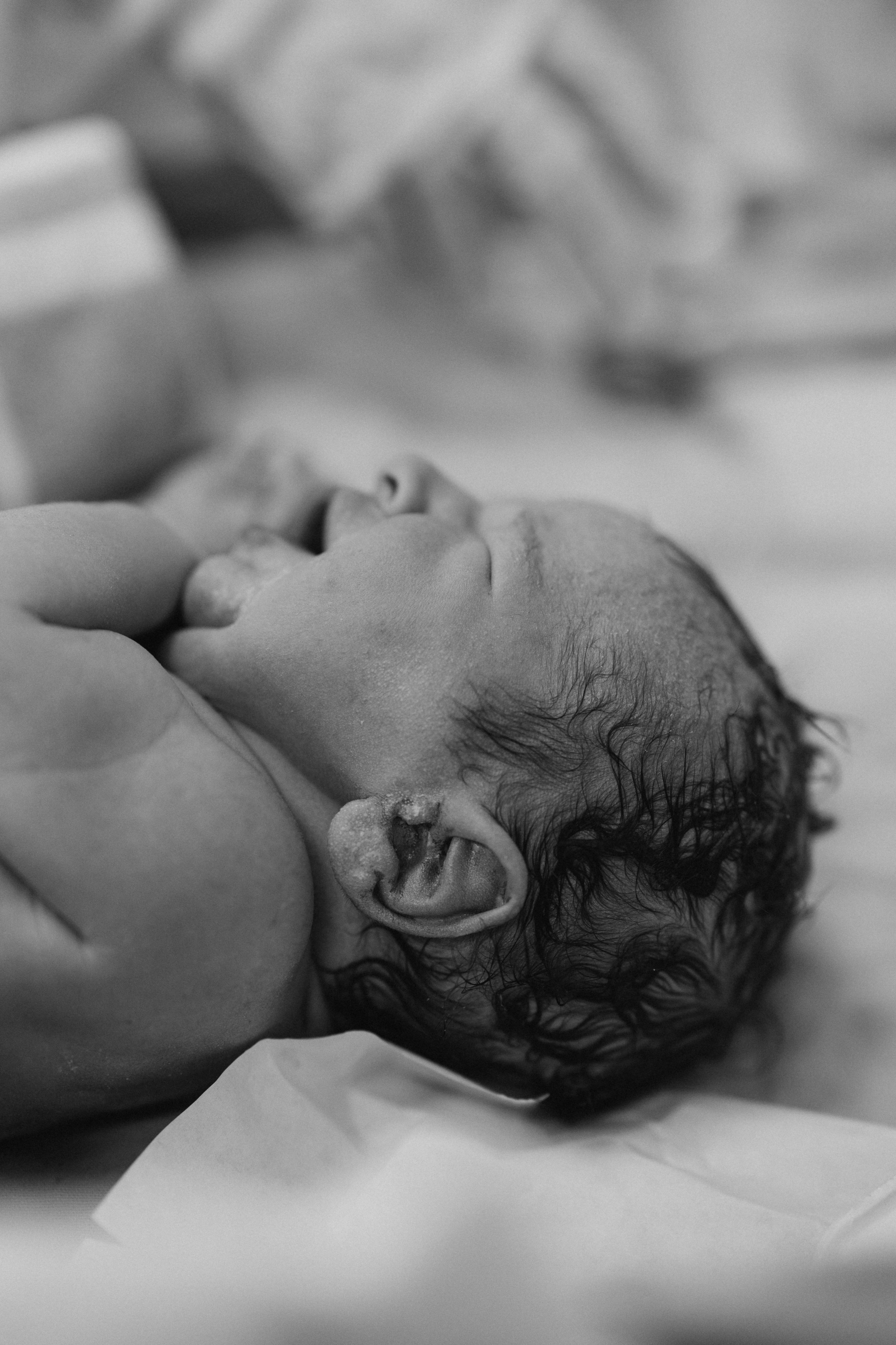 Рождение Владимира. Евгения Пелипас