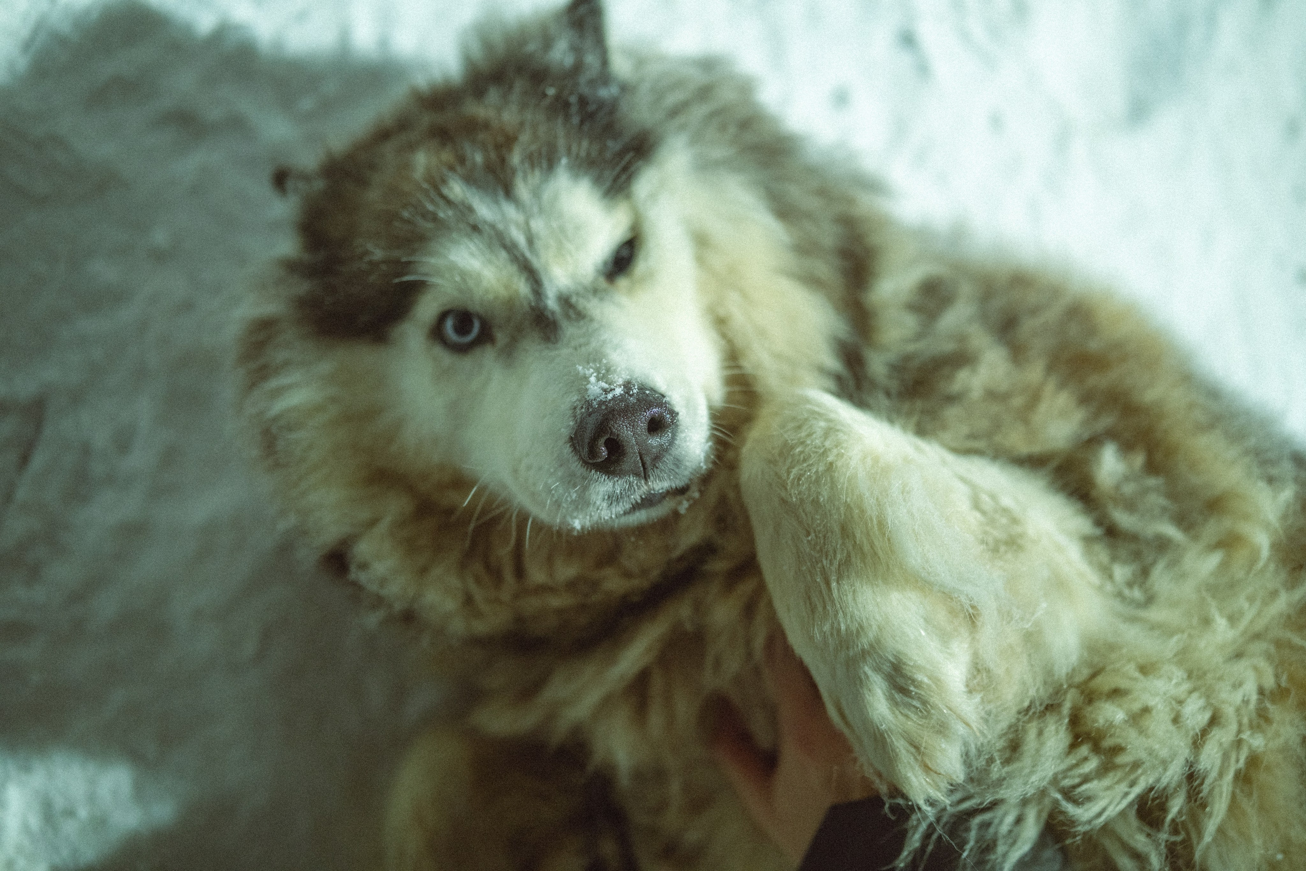 Фотографии Териберки | Филипп Линзин. Репортажный и портретный фотограф в Санкт-Петербурге Филипп Линзин
