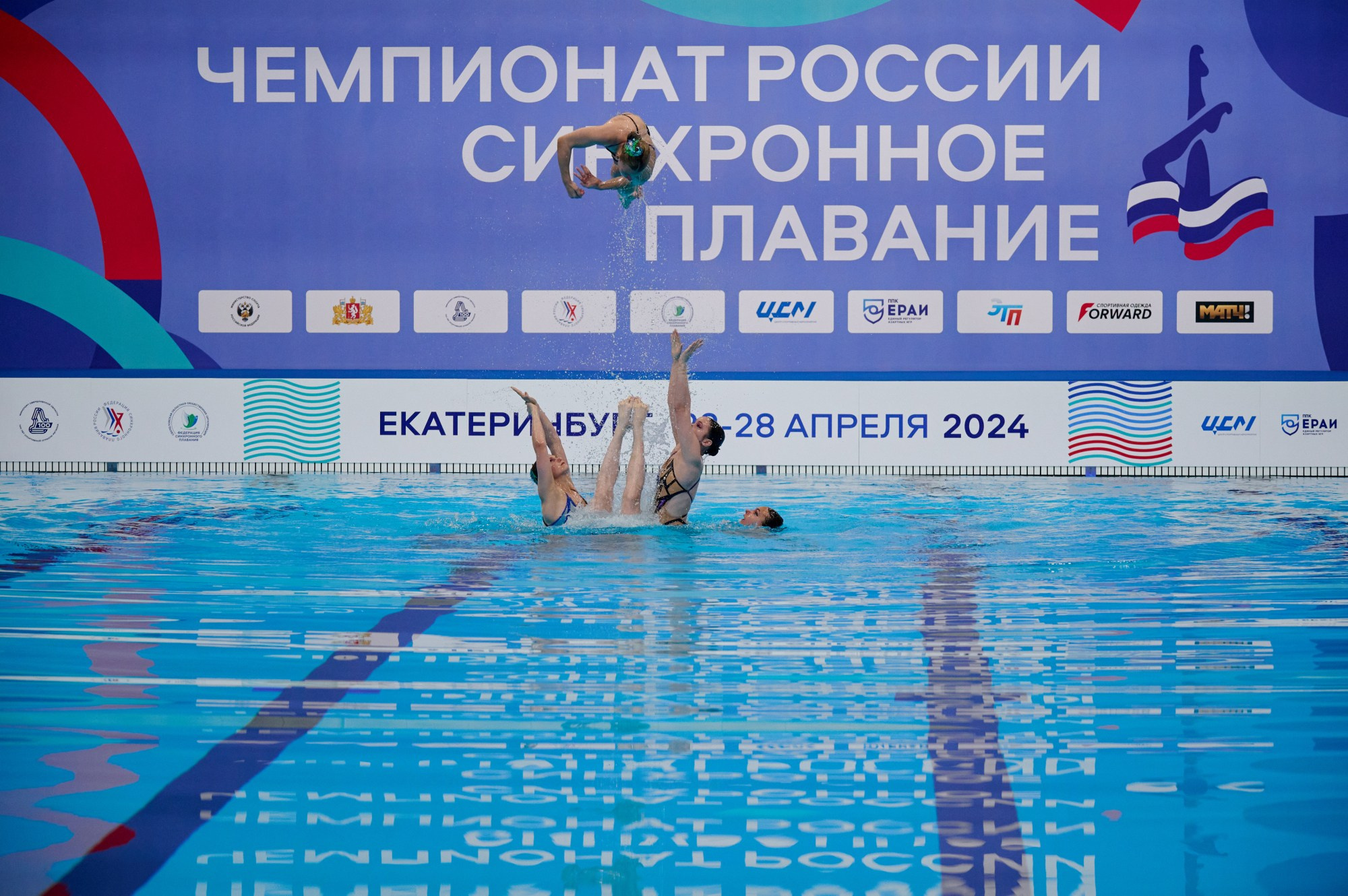Чемпионат России Синхронное плавание 2024. Мезенцев Евгений фотограф