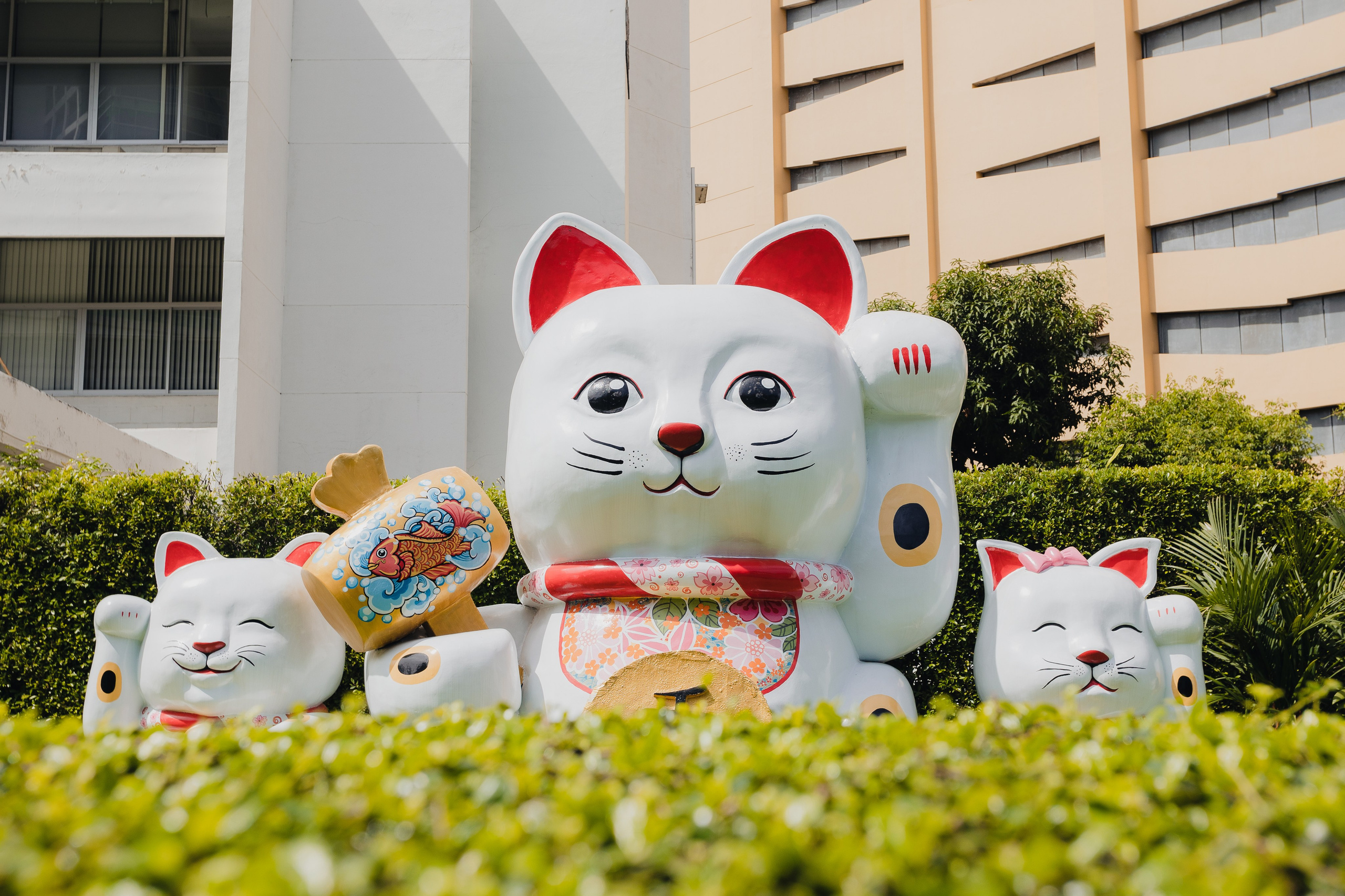 Bangkok. Фотограф Сонкина Татьяна