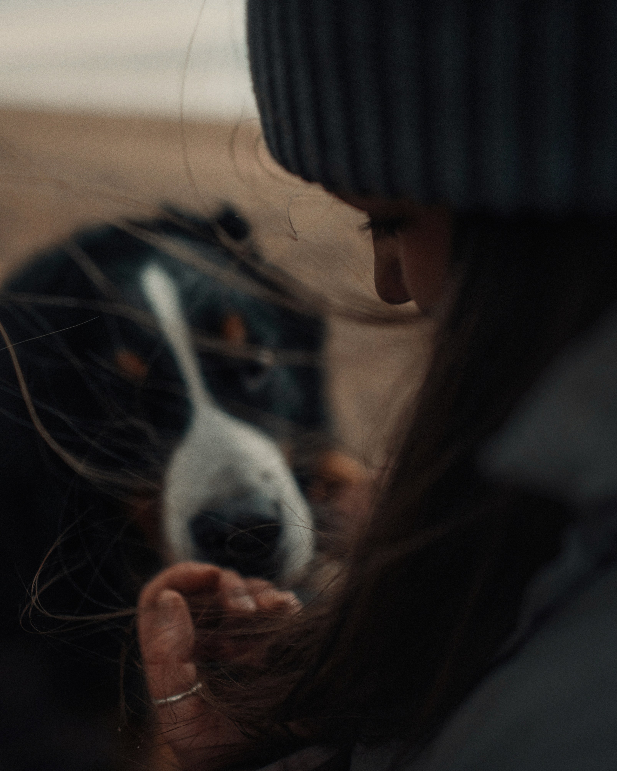 Прогулка: берн Пума, Фрэнк и Юля в Питере. Портфолио