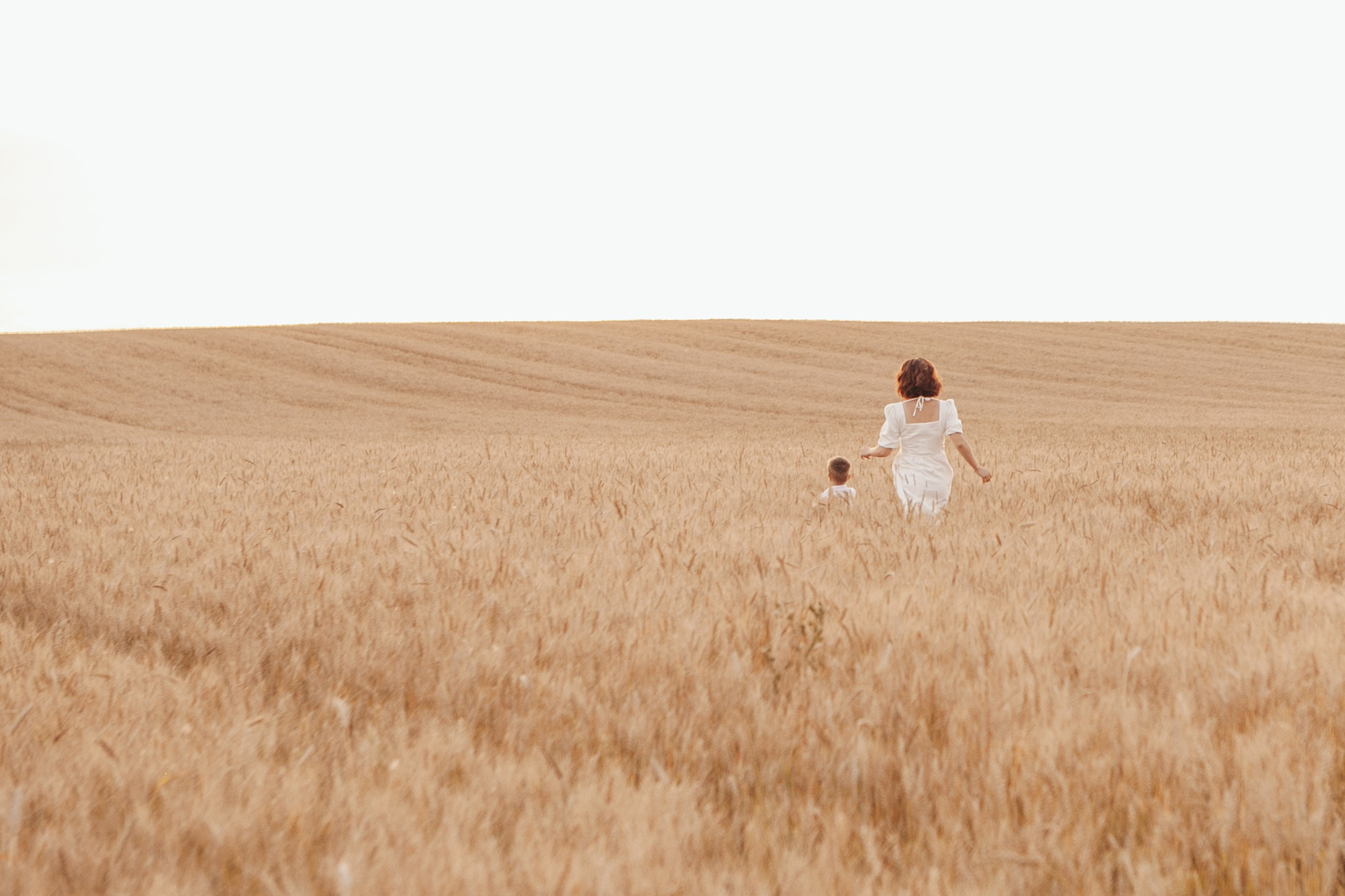 Семейная фотосессия в поле на закате. Фотограф Ольга Ефремова