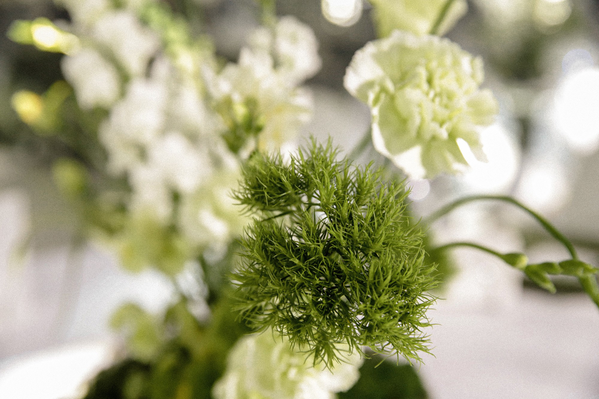 Casa Amante. Фотограф Воронеж/Белгород/Курск/все виды съемок