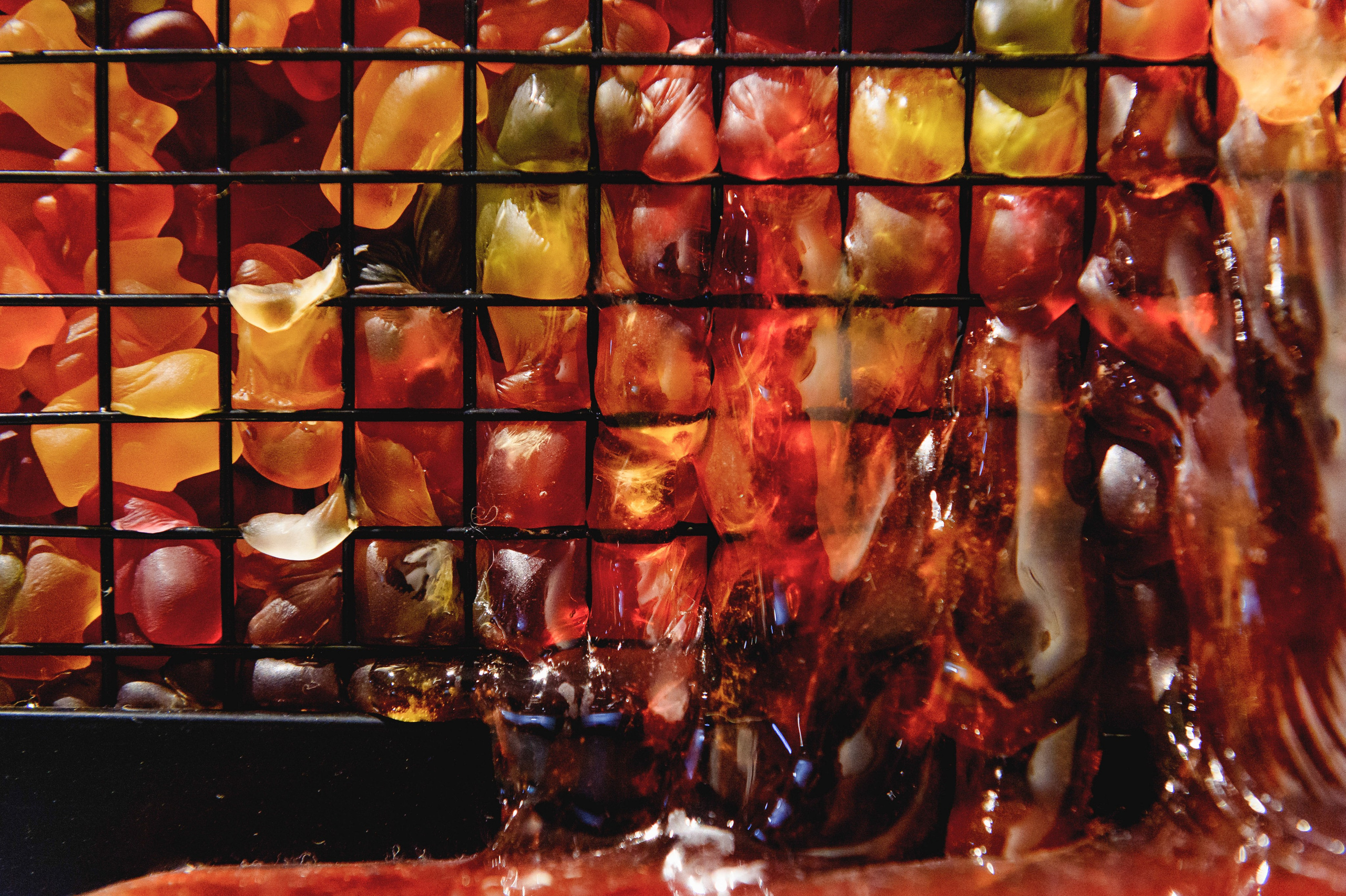 Выставки. Фотограф Руслан Хафизов