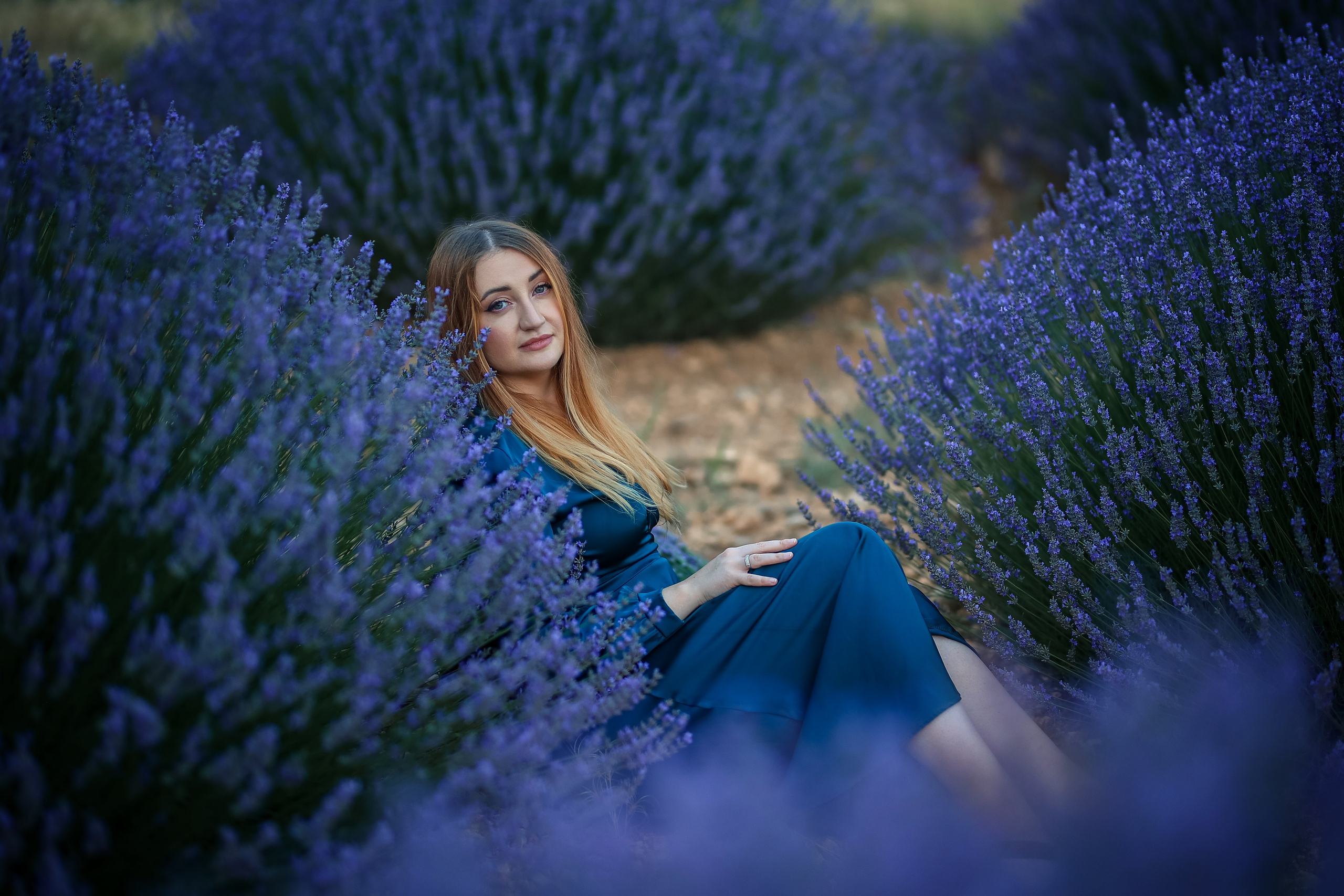 Lavender fields in Turkey