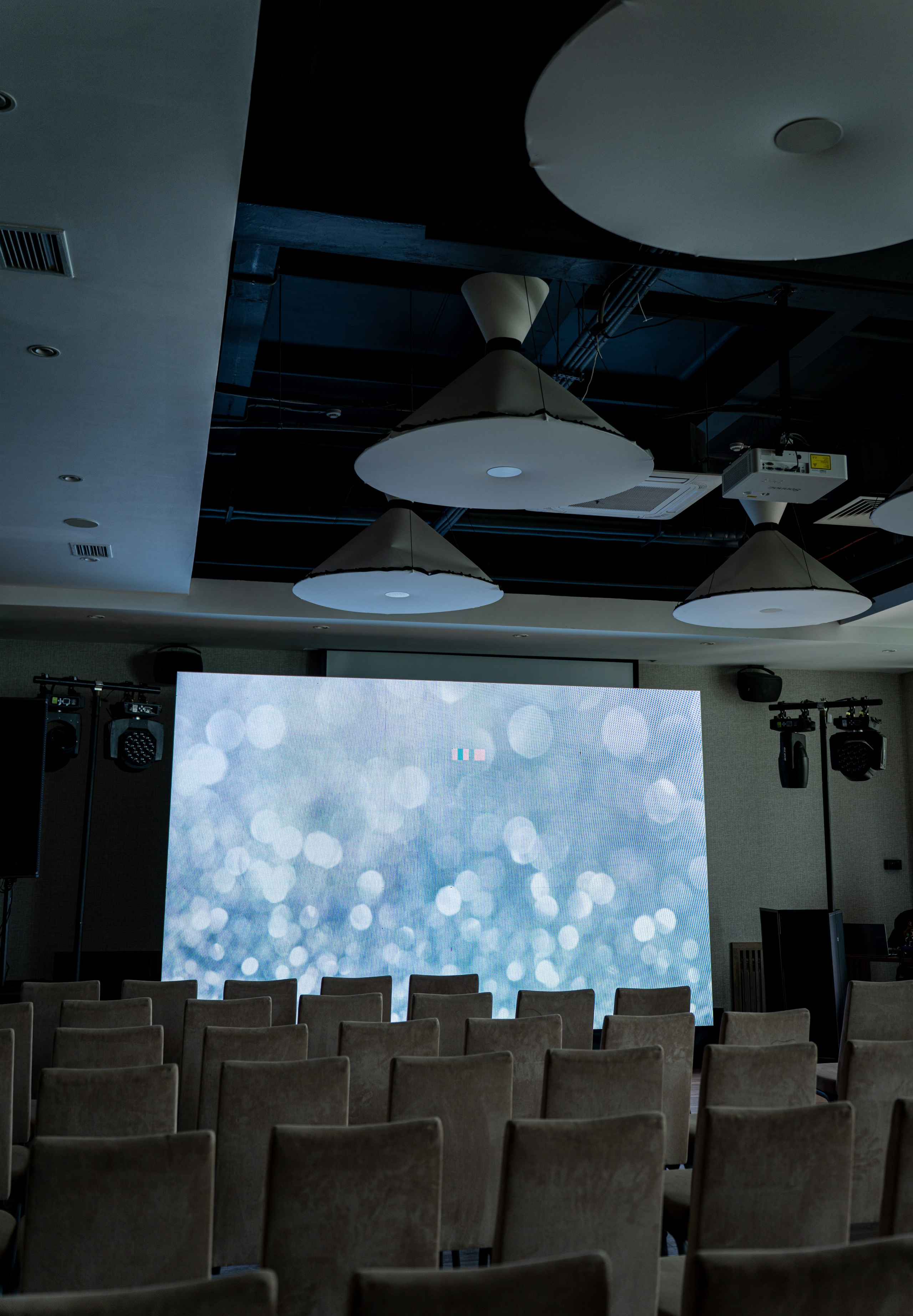 Бабр 2025. Фотограф в Иркутске на все важные случаи жизни