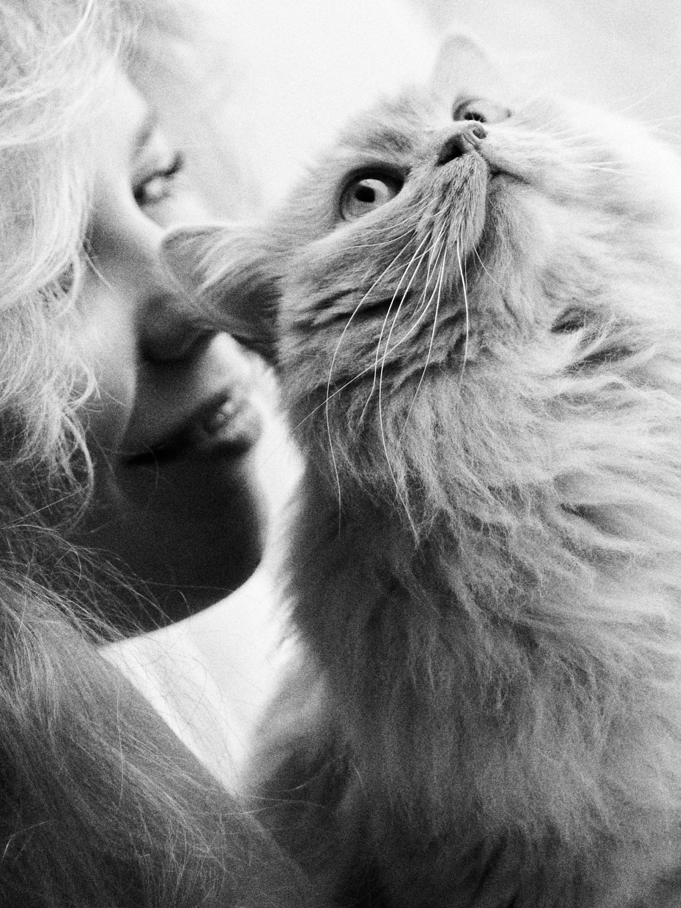 Покажу то, как виду тебя и твои изюминки. Ap.phot