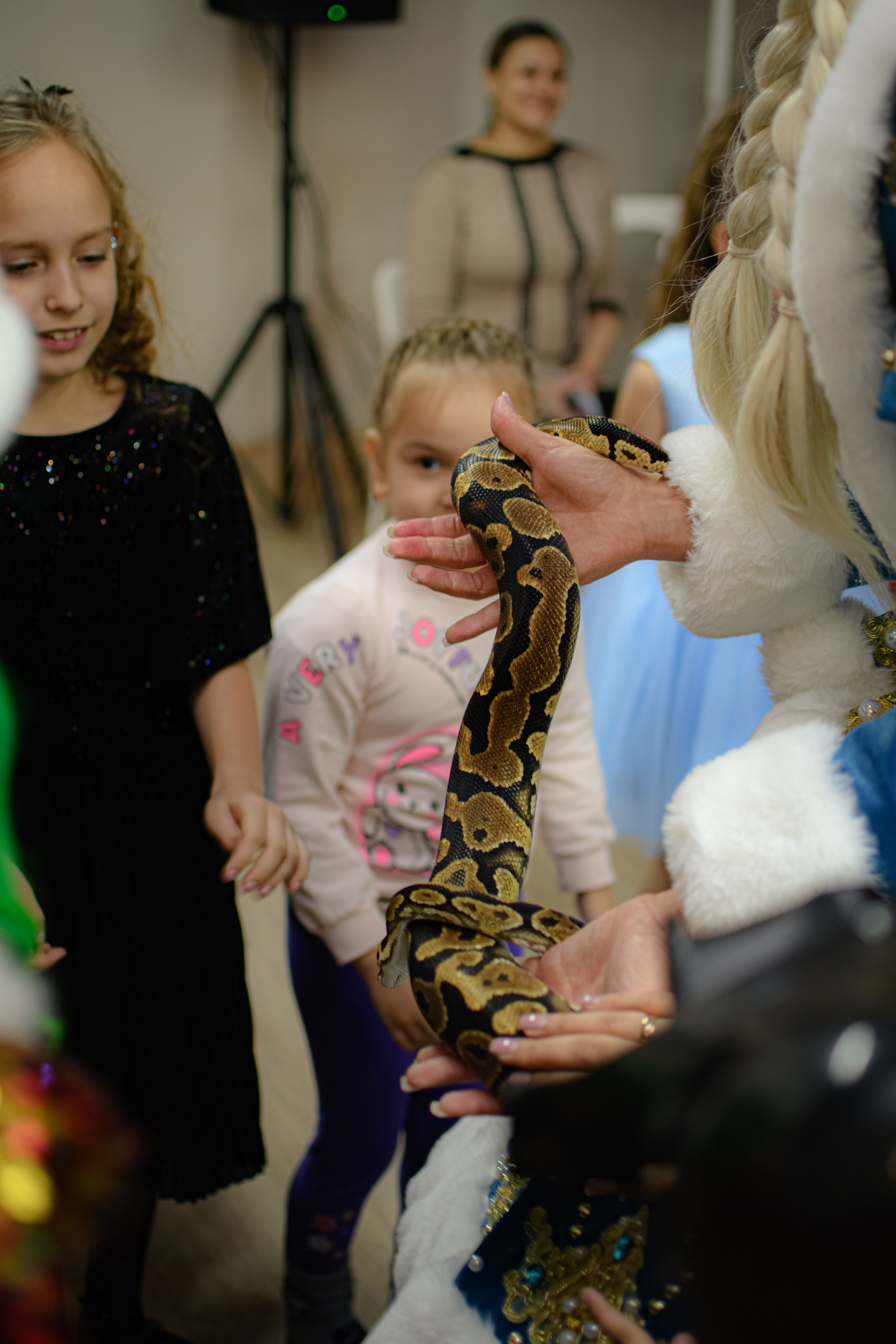 HAPPY NEW YEAR. Photokarish