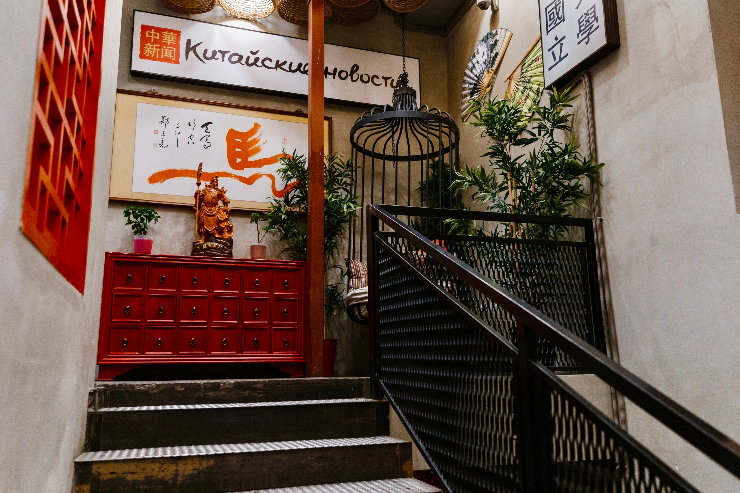 China News. AMODEO STUDIO