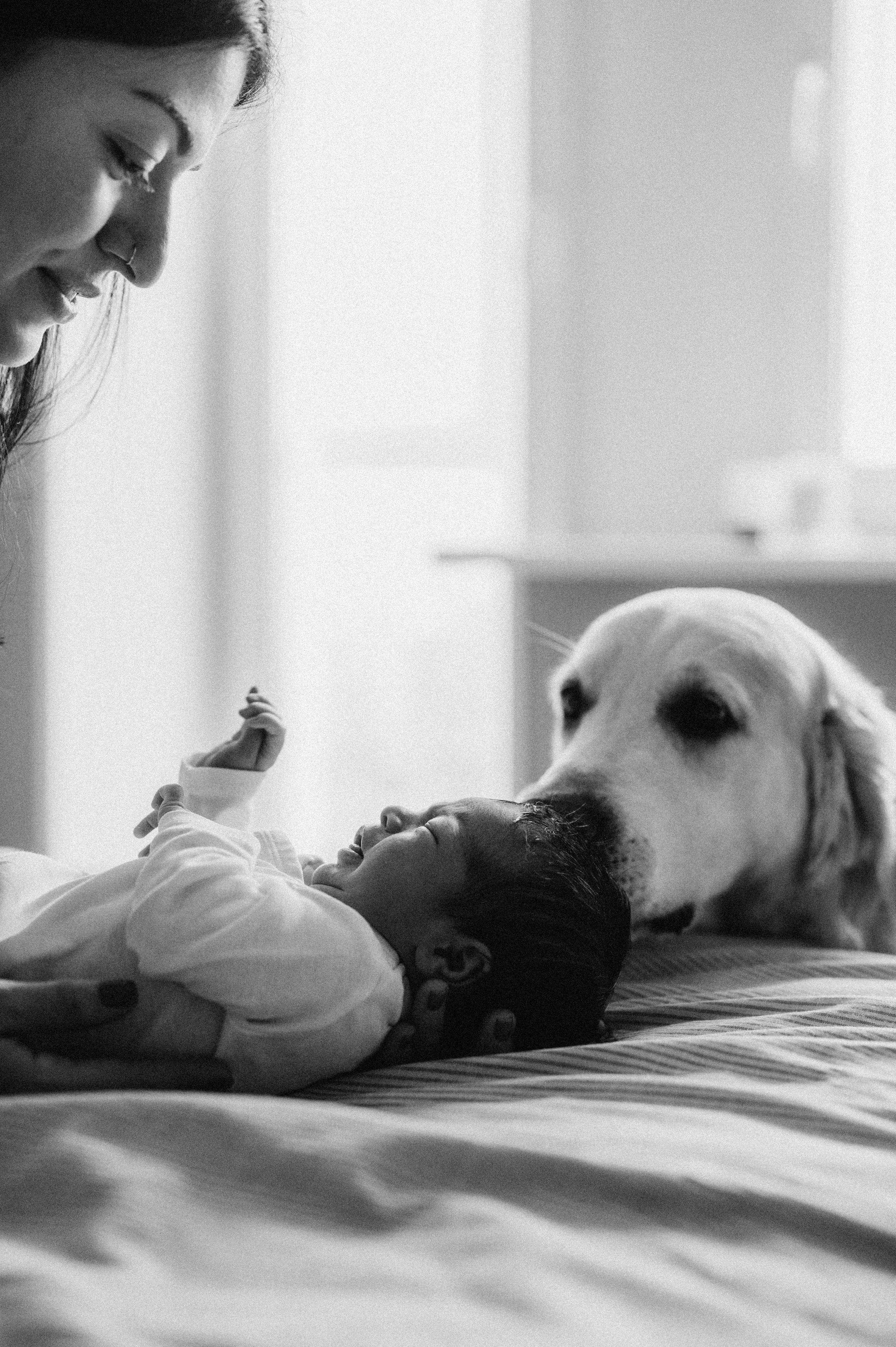 Новорожденные. Фотограф новорожденных и беременых в санкт-петербурге Юля Лампа