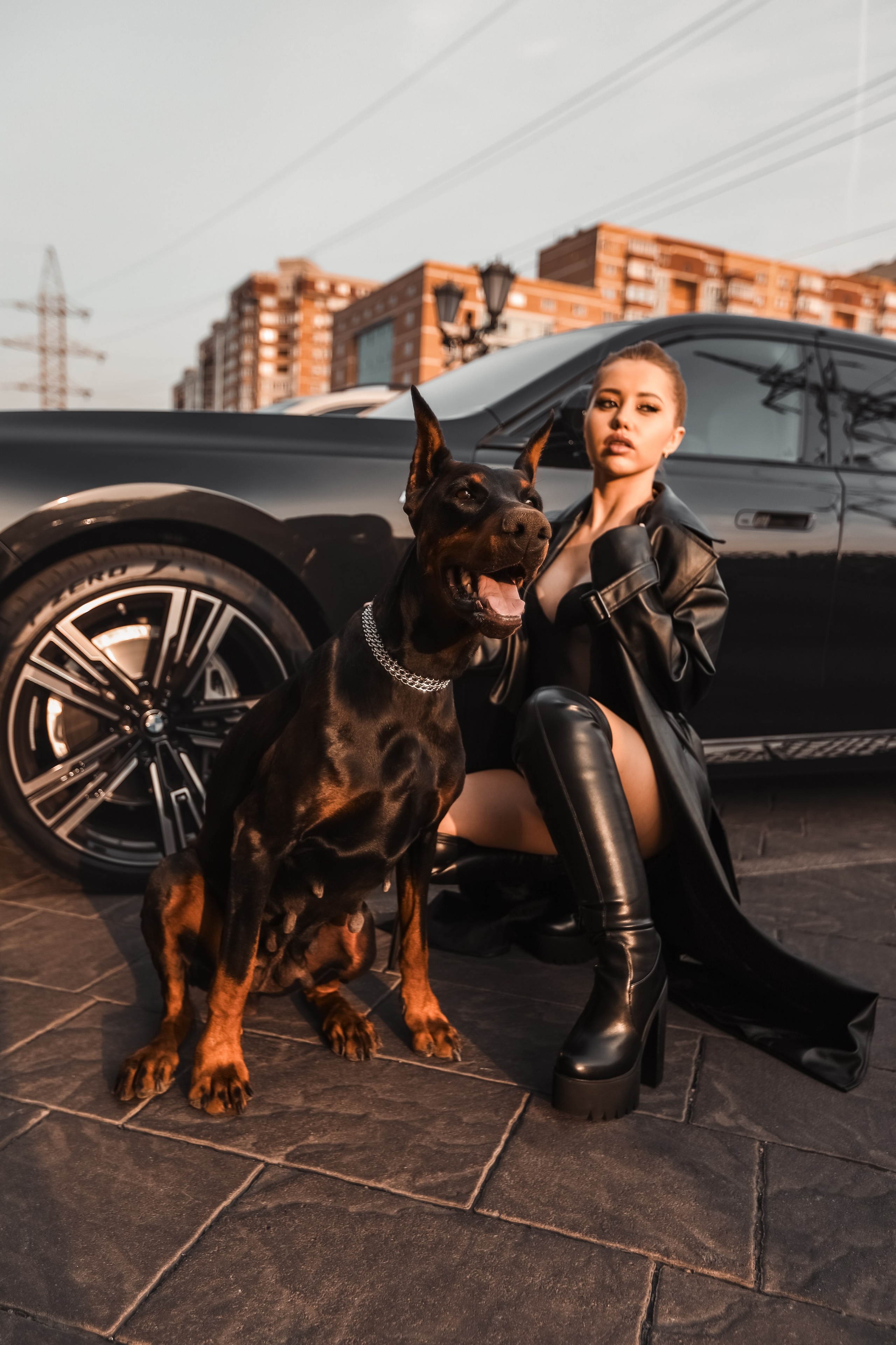 ПРОЕКТ «ДОБЕРМАНЫ». Photographer Viktoriya Markushina «My world throug»