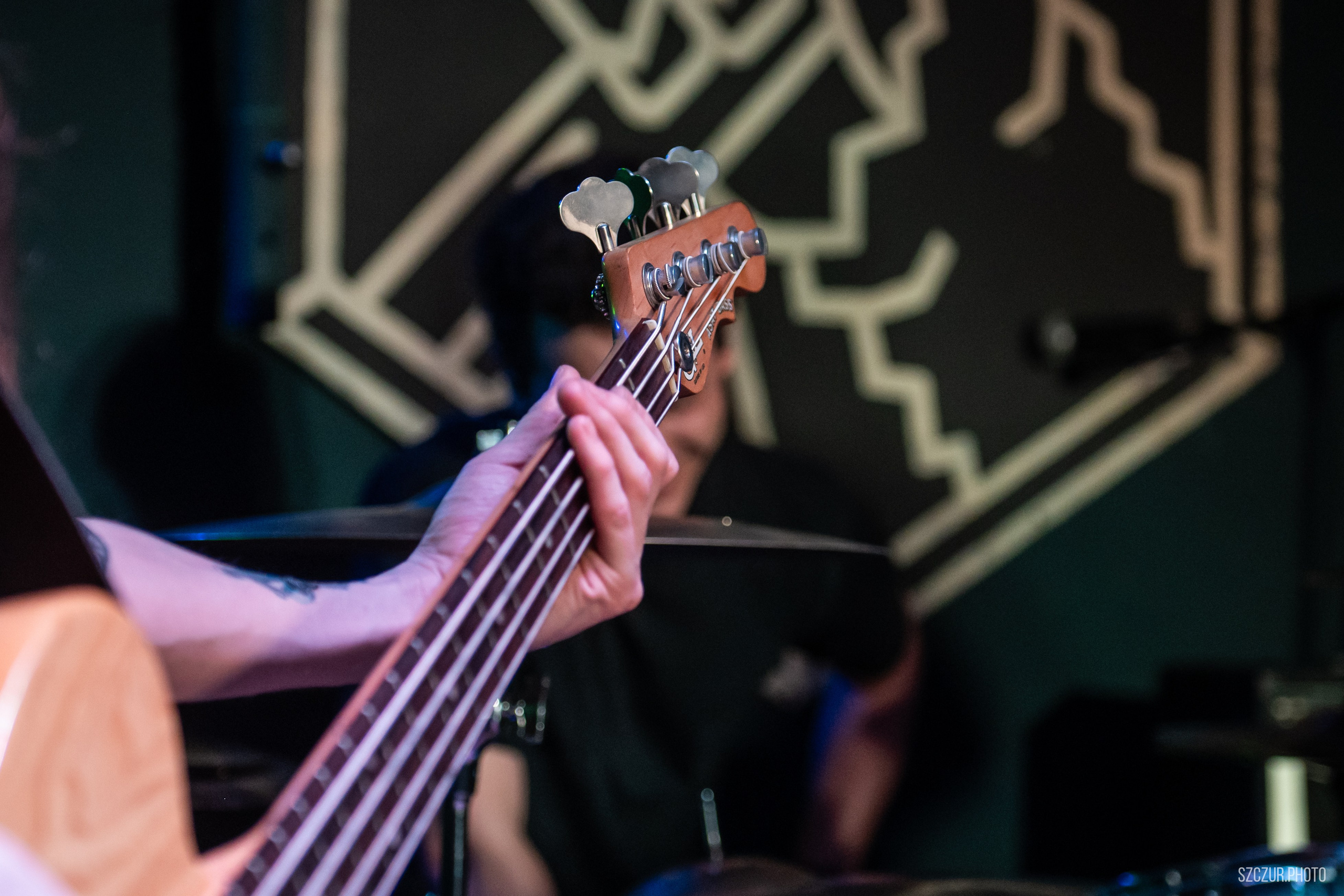 Potvor / aphotique / Barbasolente в Мотыге 18.04.25. Szczur photo