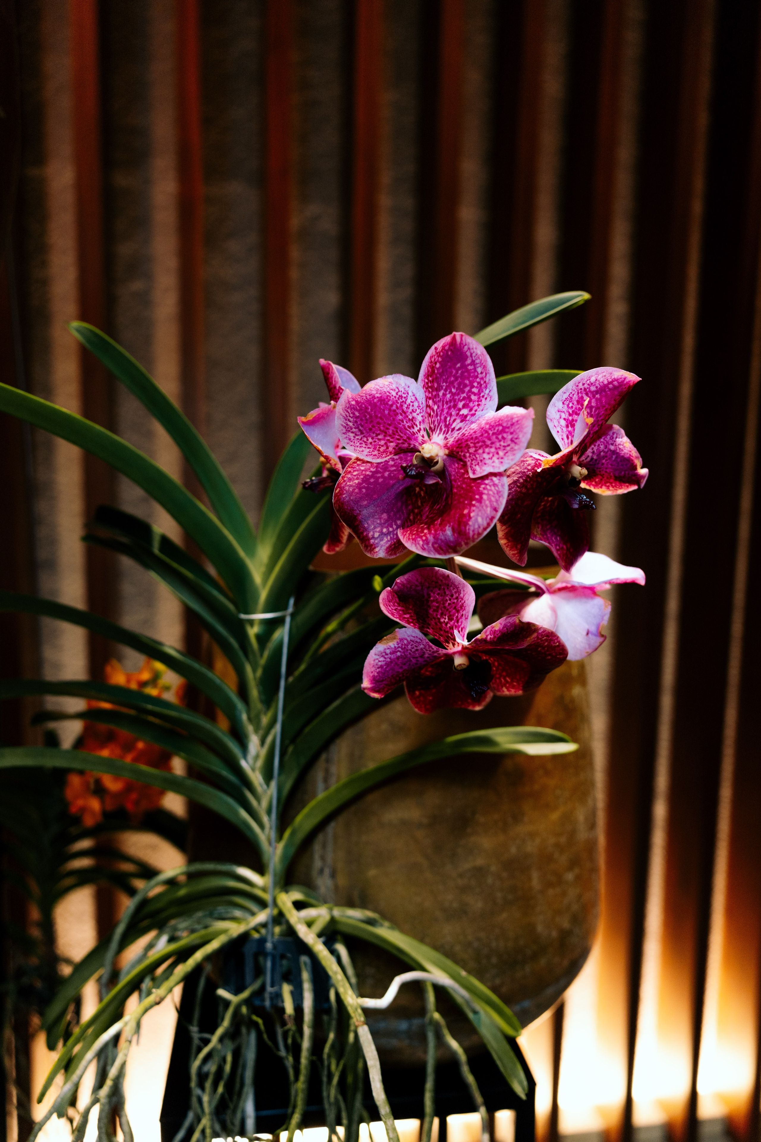 Exclusive closed party with Araik Galstyan’s stunning floral designs at Meliá Hotel Barcelona