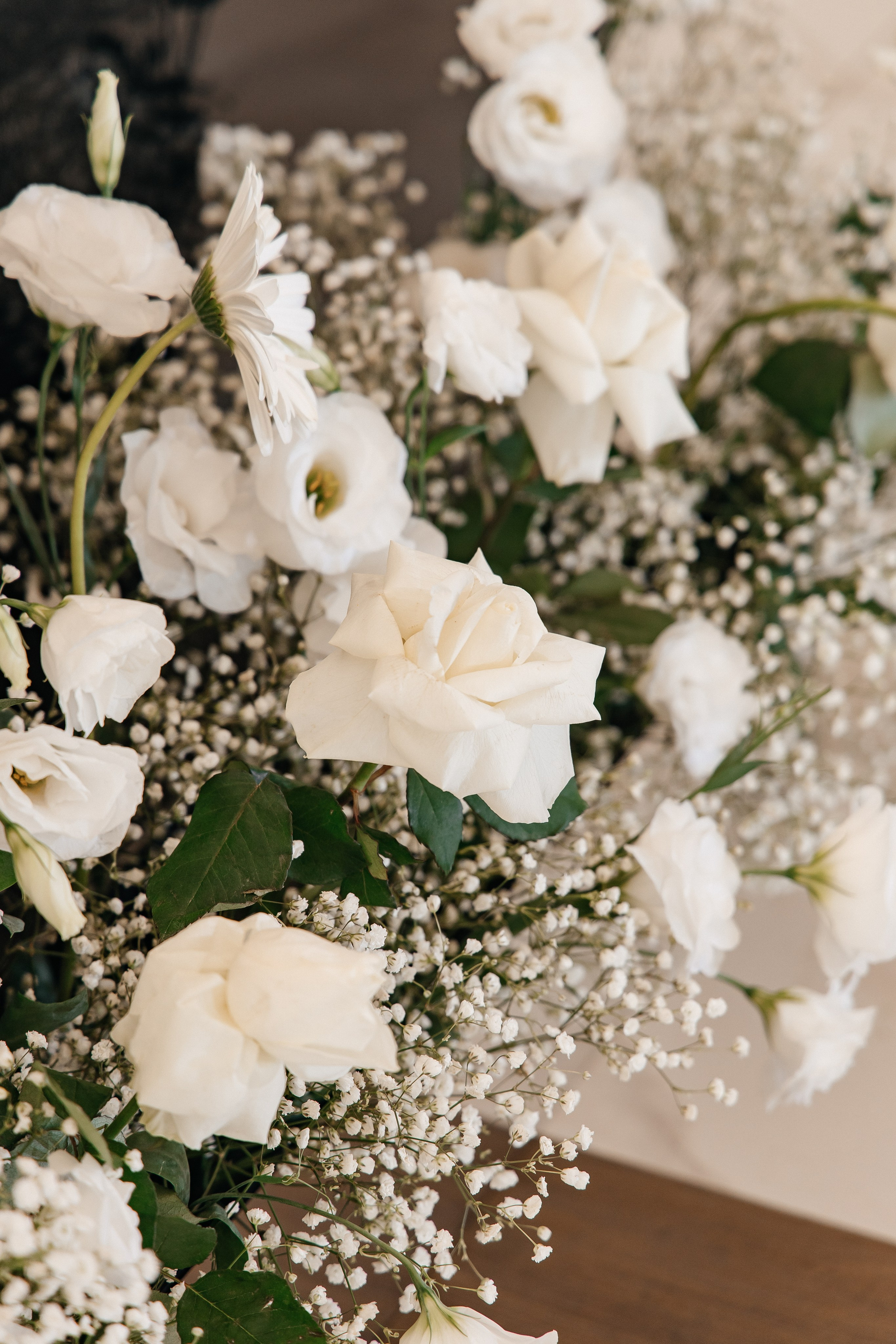 I&A. Фотограф Таганрог Хребет София