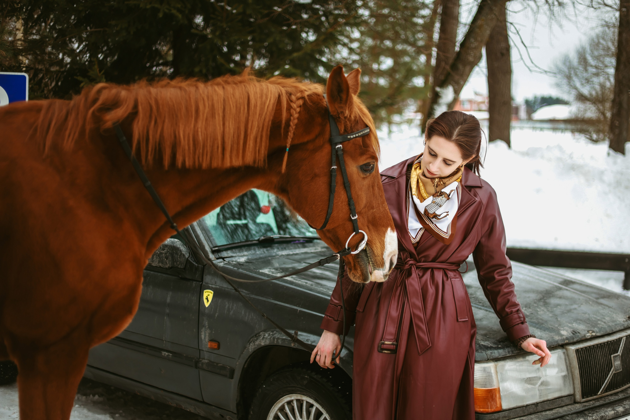 Фотосессии с лошадьми