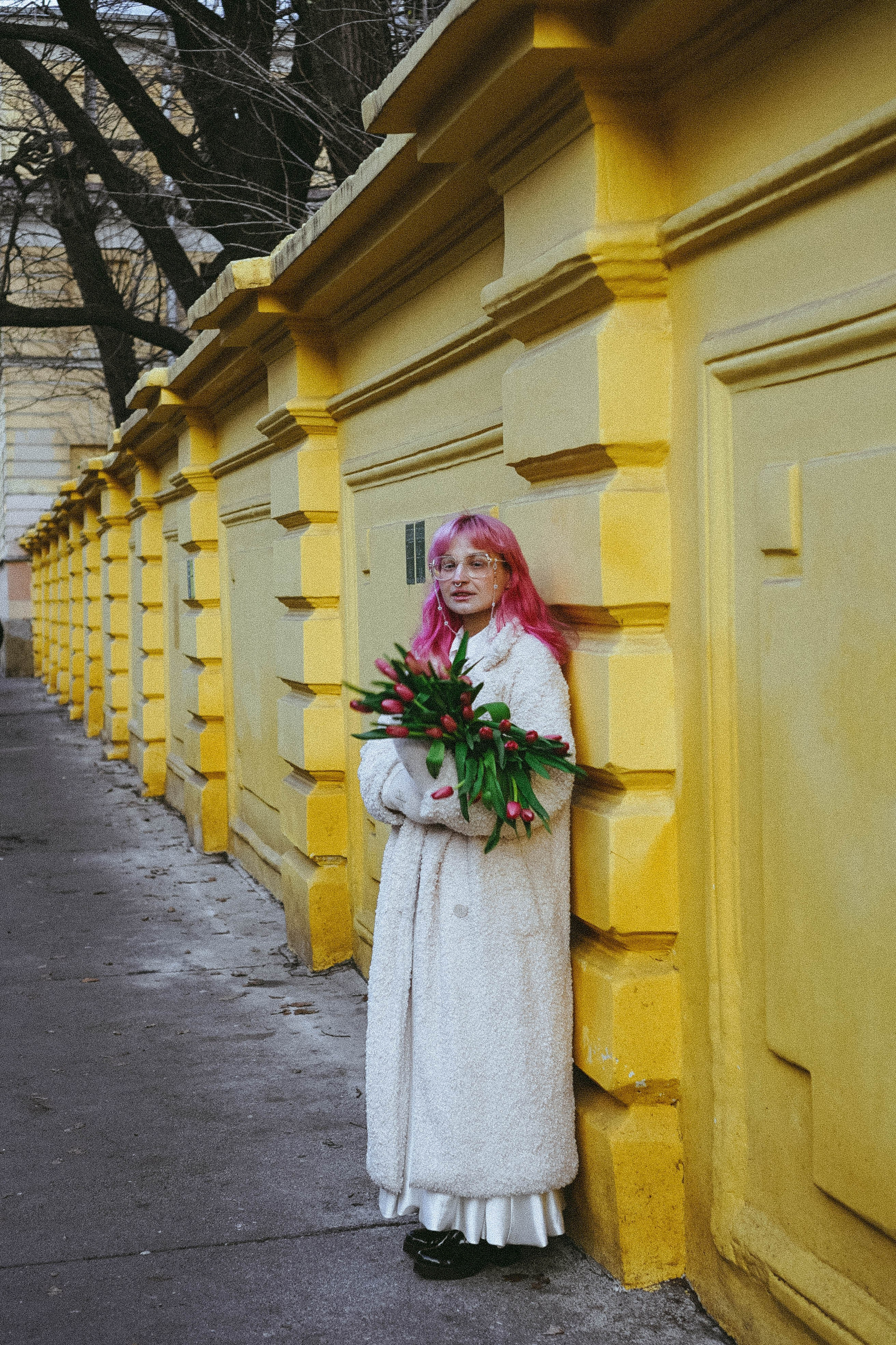 Тюльпаны. Профессиональный фотограф, Санкт-Петербург — Виктория Богомолова