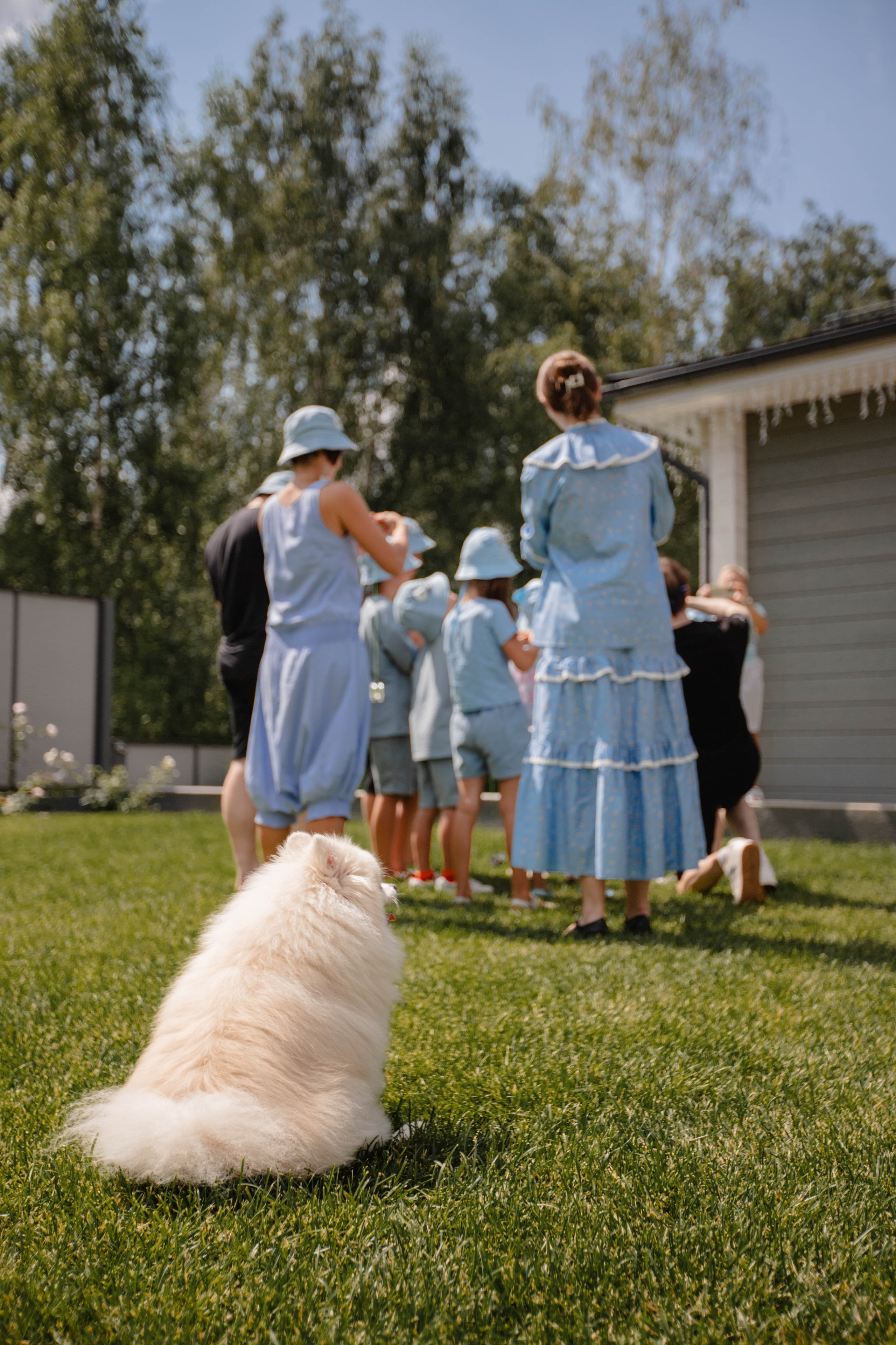 День Рождения :)