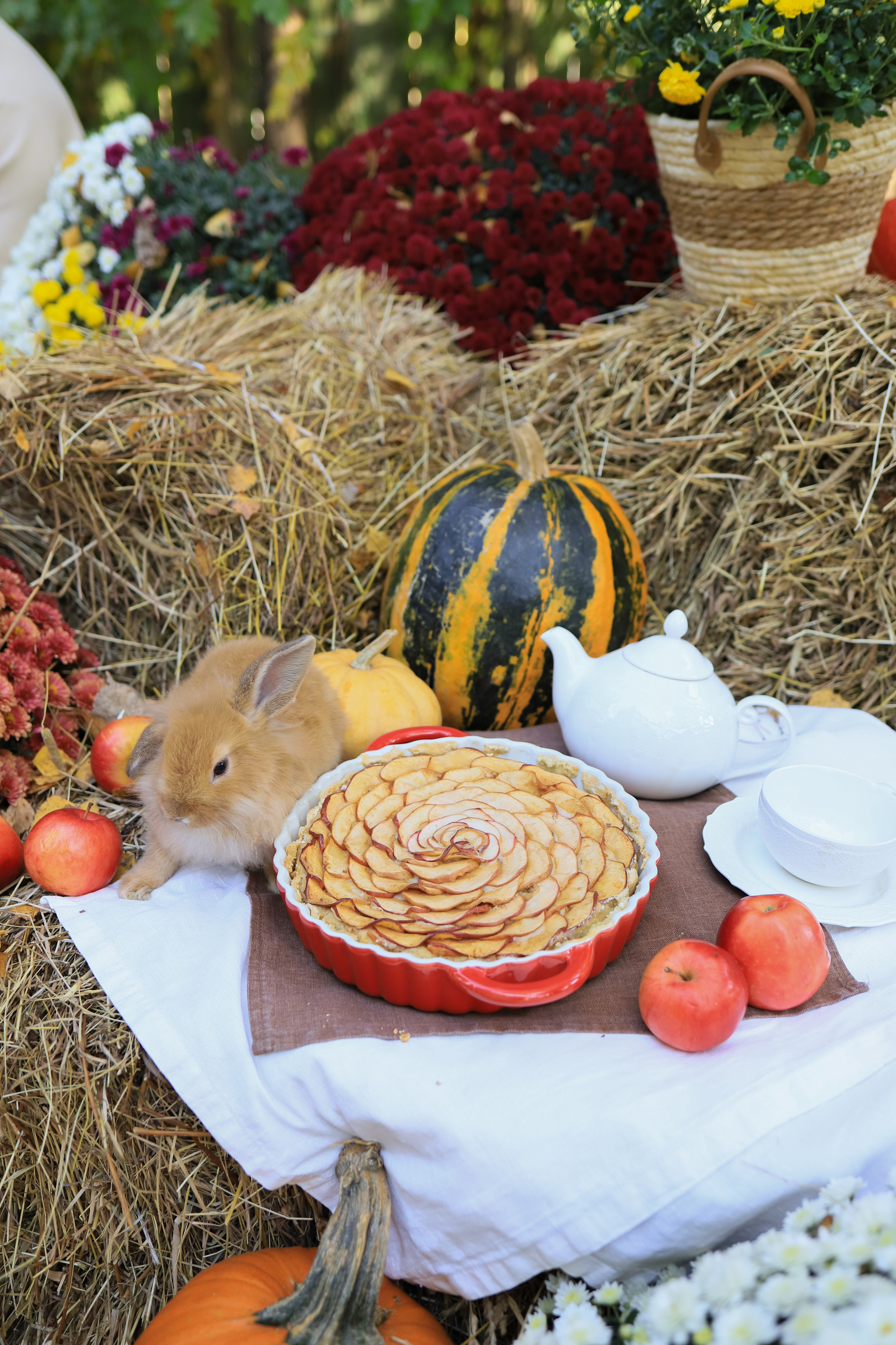 Семья Марии. Семейный и портретный фотограф в Москве Александра Науменко