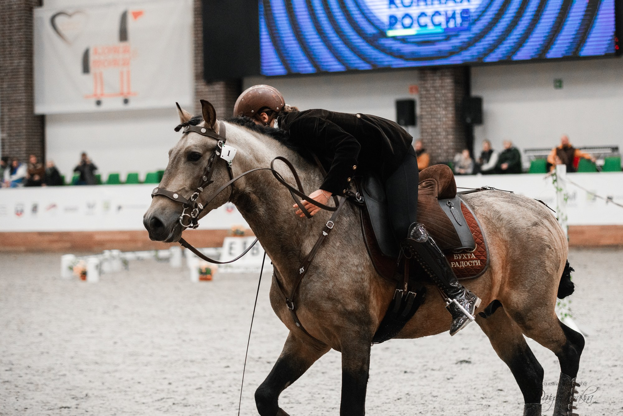 8-я международная выставка Конная Россия. Конный фотограф Куракина Дарья • Фотосессии с лошадьми