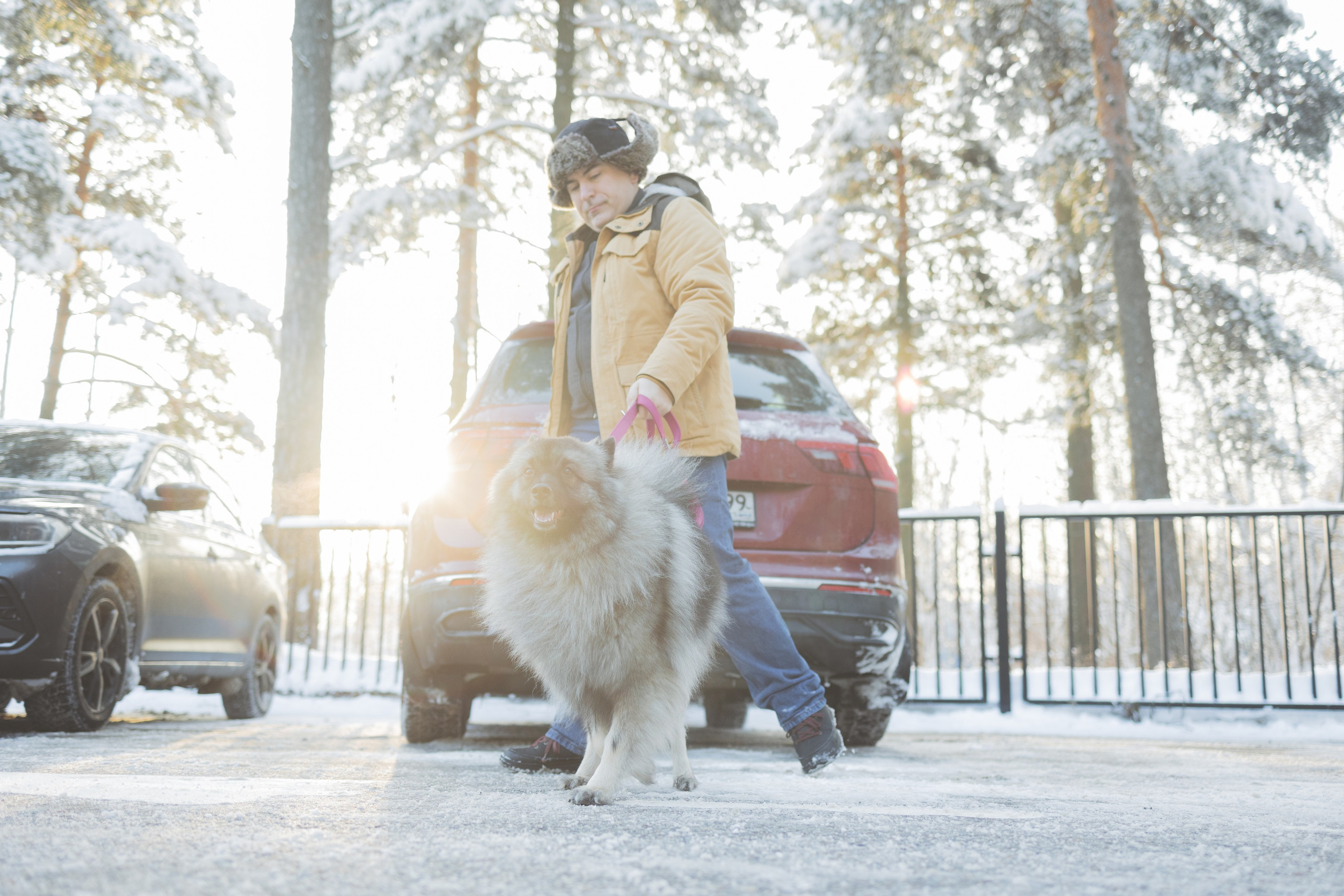 Фотосессии. Фотограф Ирина Астор