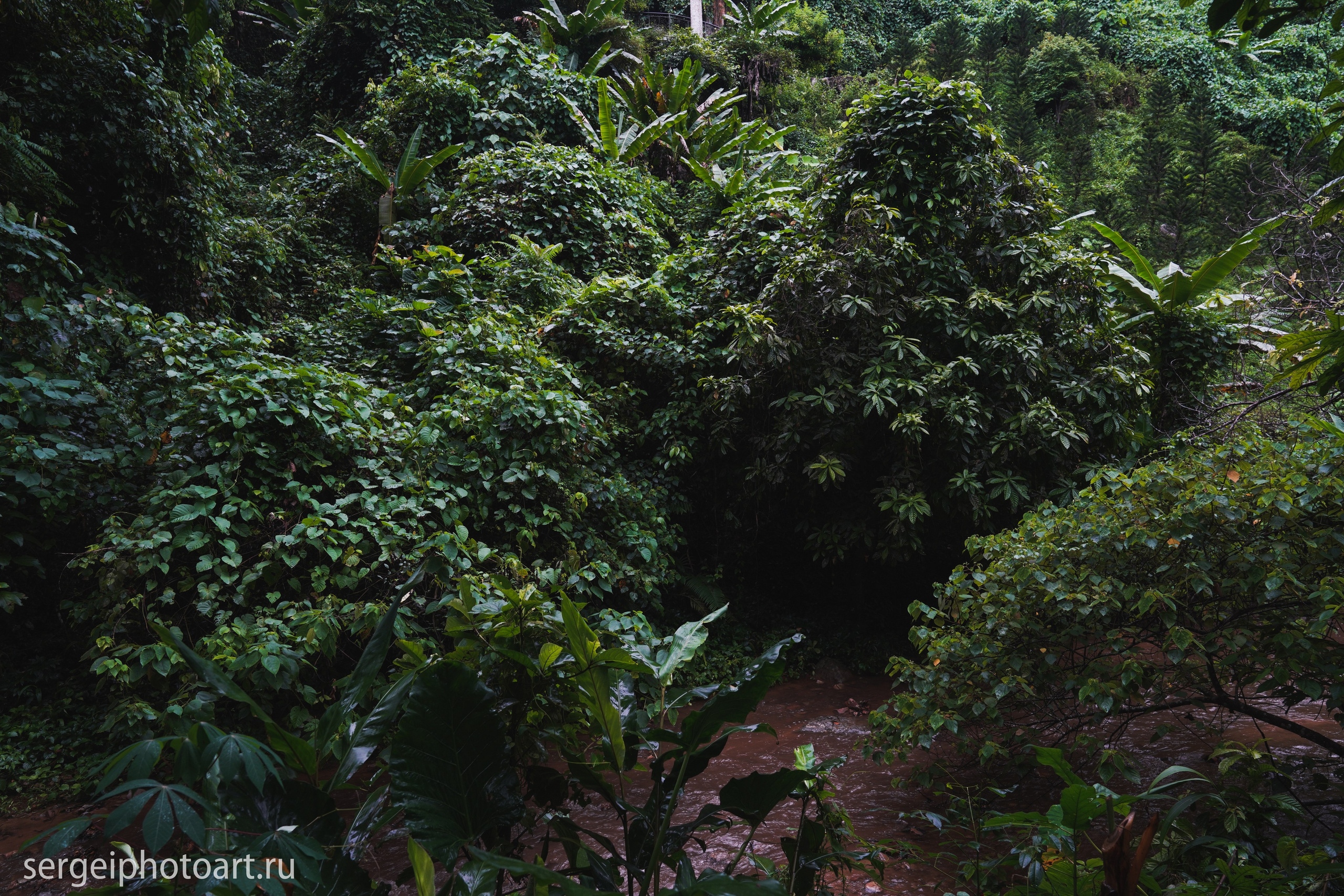 Небесные врата Донг Зянг Дананг. Фотограф Сергей Кишкель Дананг Нячанг Фукуок