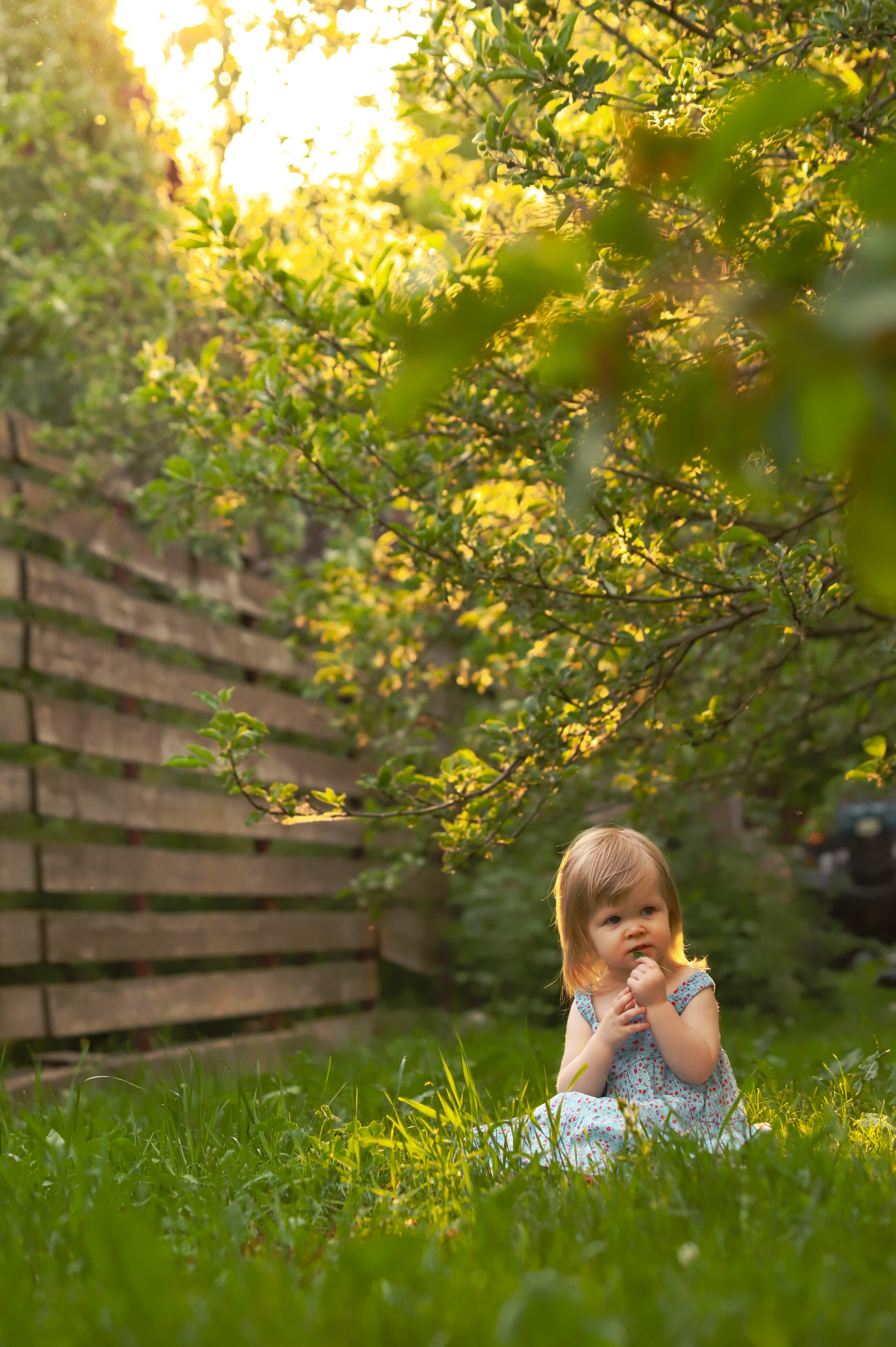 Семья Коньяковых. Фотограф Москва и МО Анастасия Пясковская