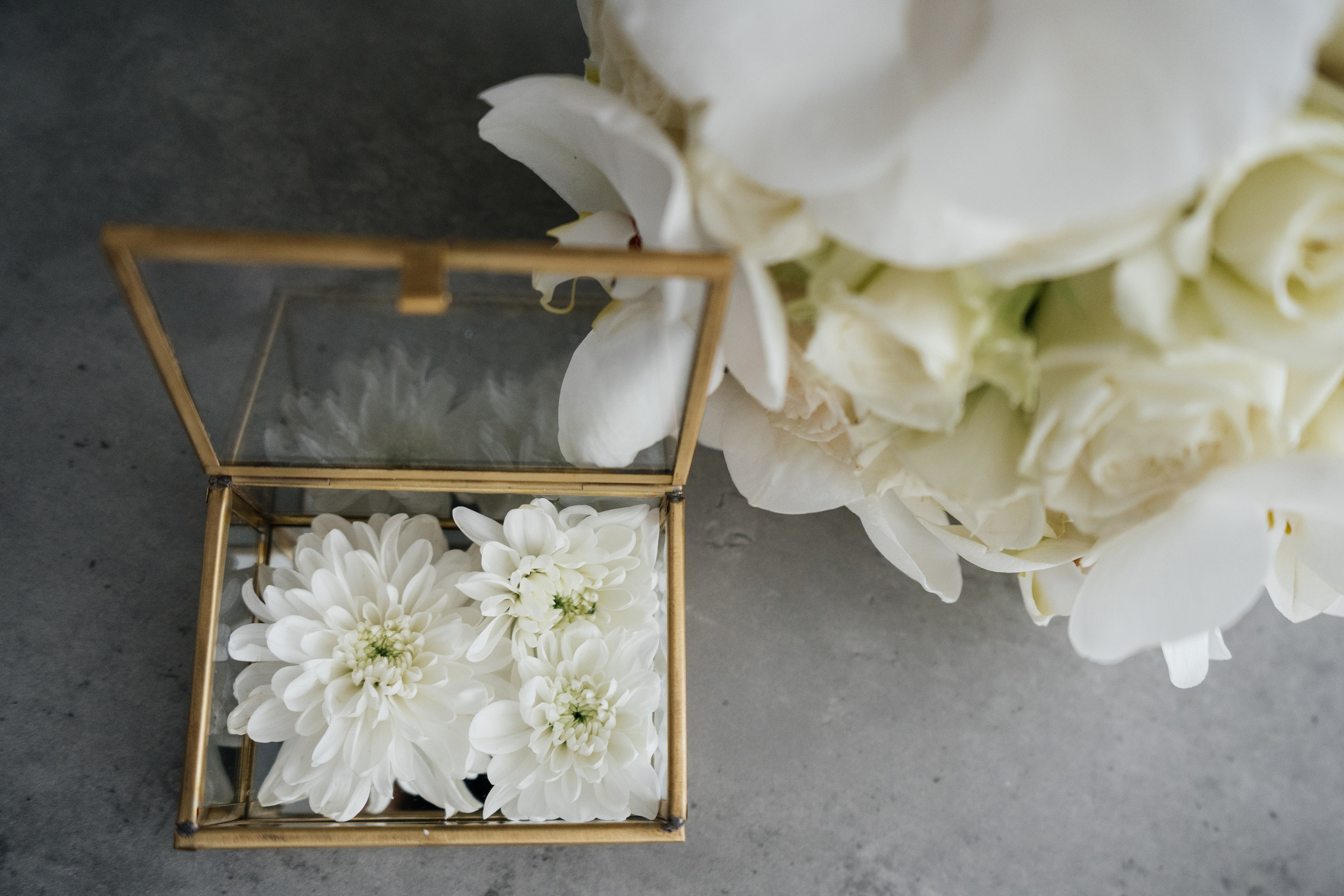 Пётр & Вера (White Wedding). Wedding photographers Alex Abramyan