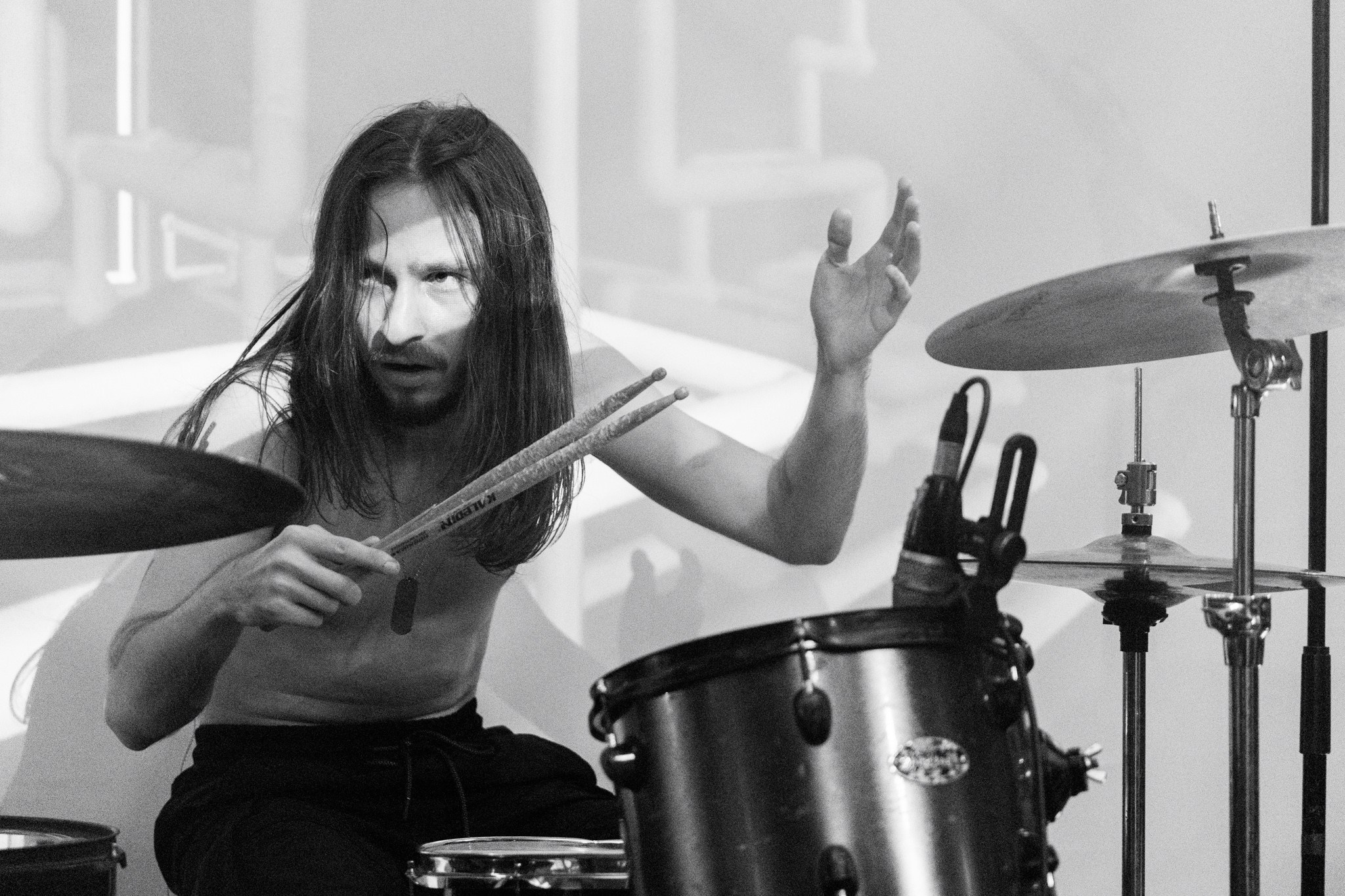 Змееед, Apodemus, 20.12.25, TAGO)))MAGO)))