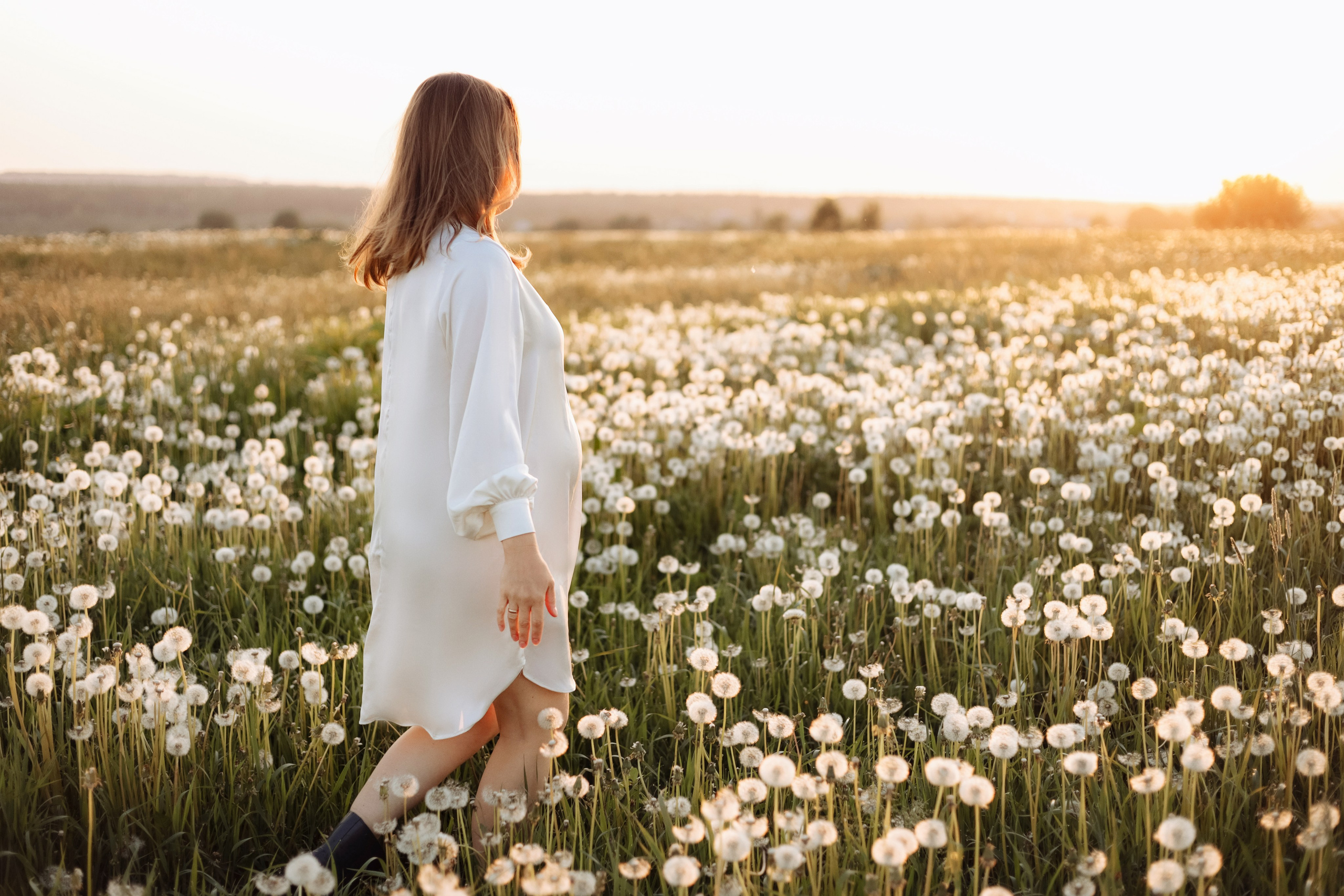 Закат. одуванчики. счастье. Фотограф в Санкт-Петербурге Знаменская Ирина