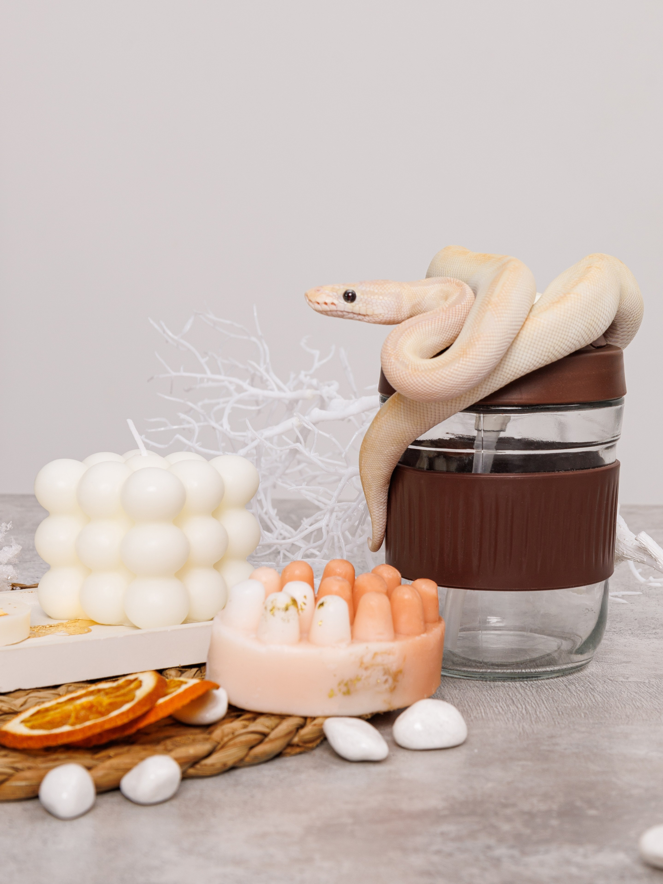 Съемка с животными. Главная