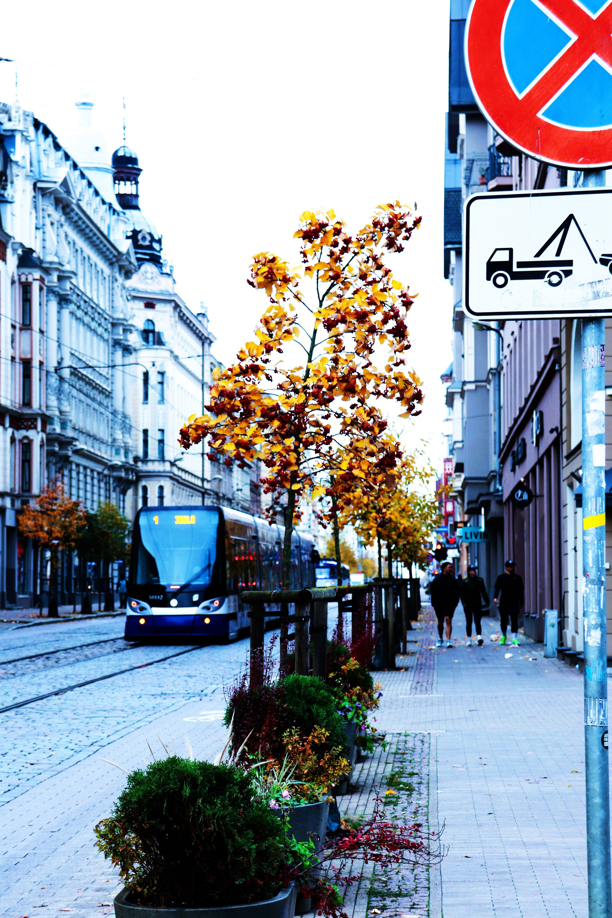 Riga. Juliarubis.com