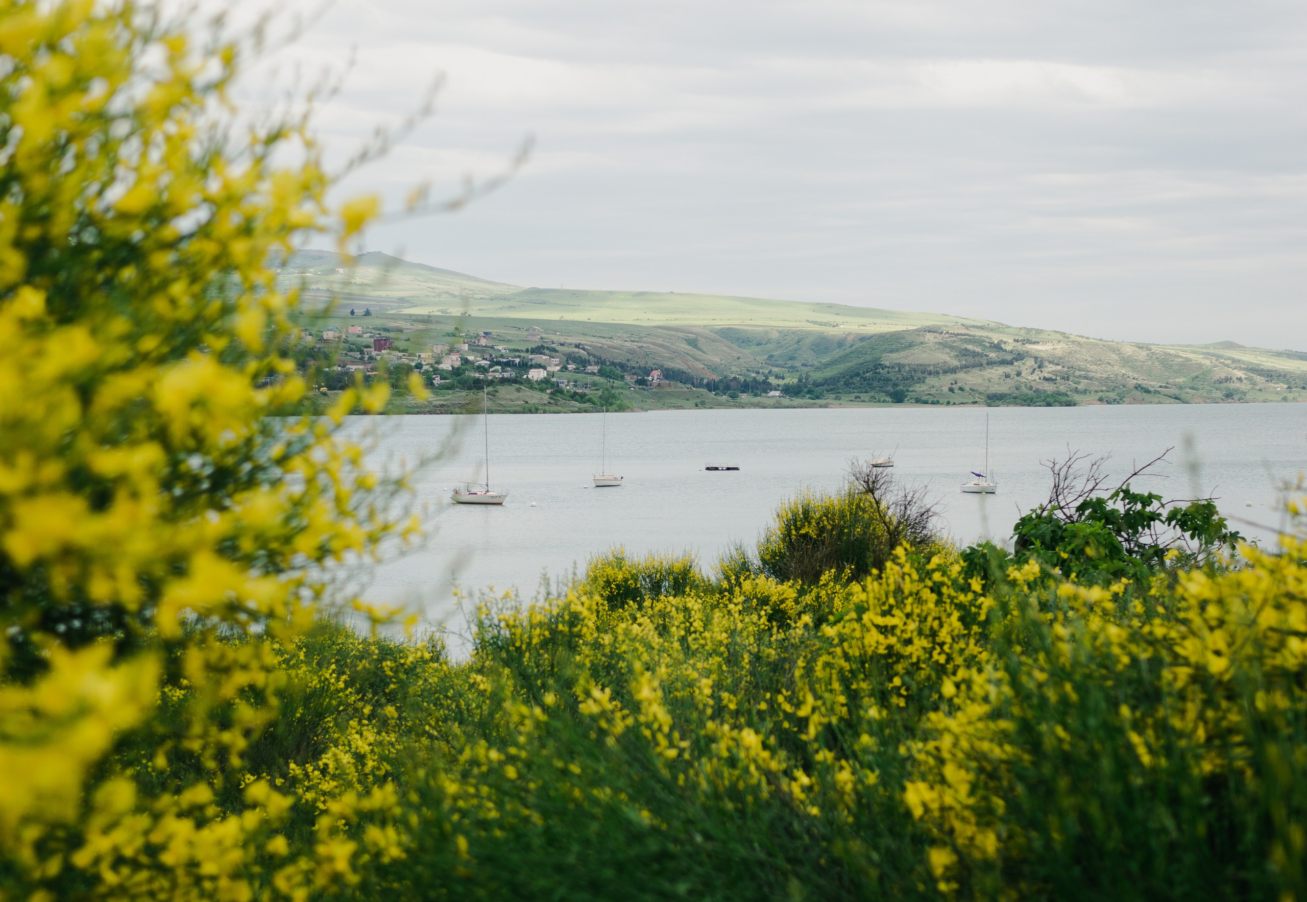 Wallpapers. Фотограф Казань