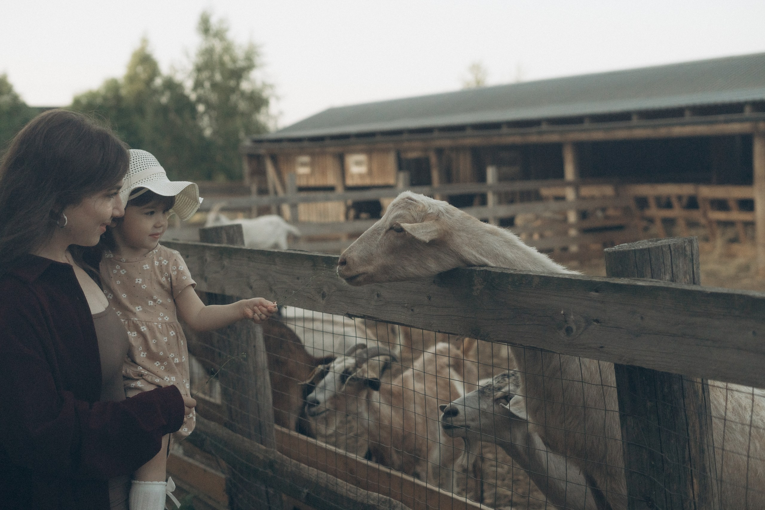 Семейные съемки. Фотограф Новомосковск | Тула