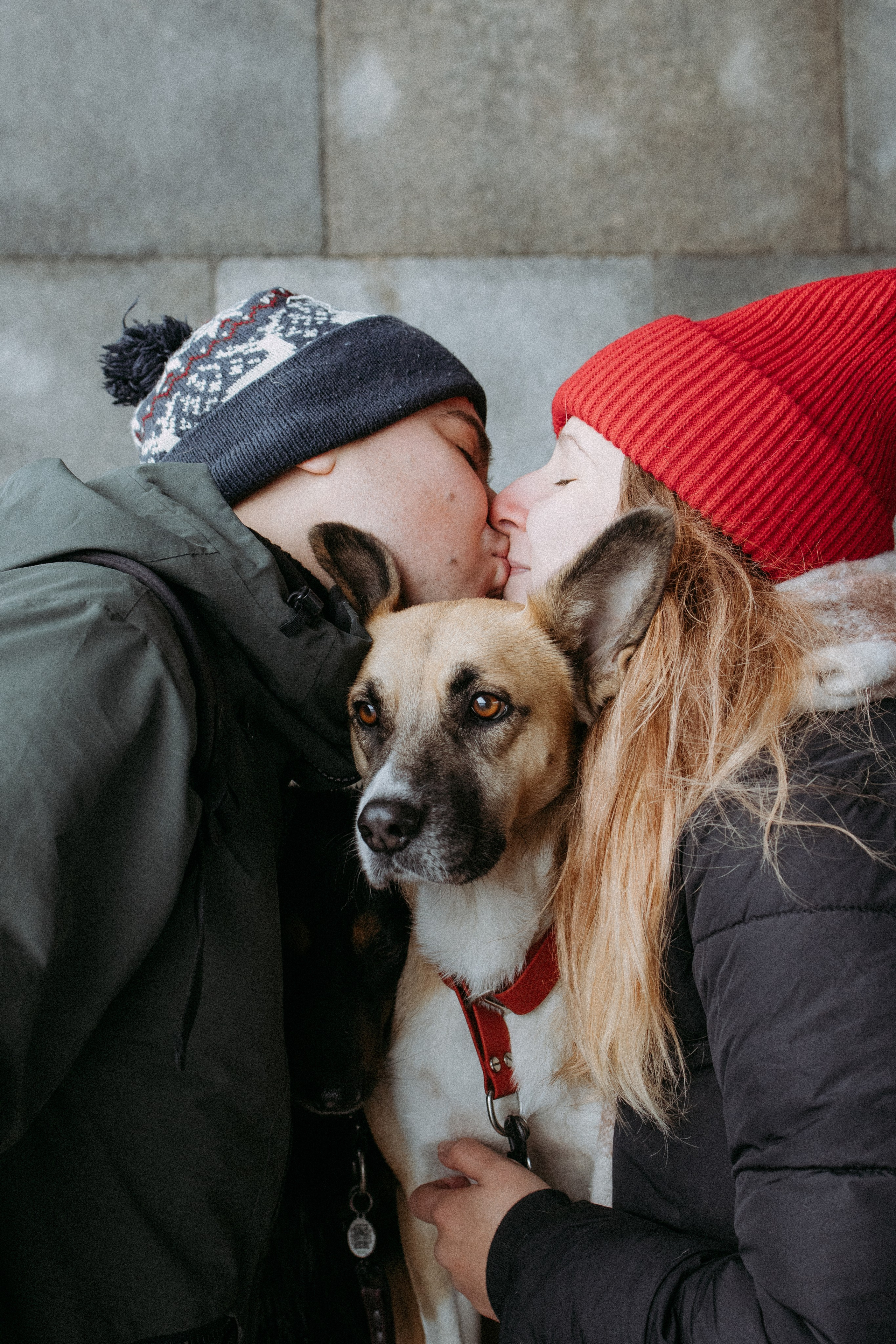 Саша, Ксюша и их банда. Фотораф — анималист Мария Шистка