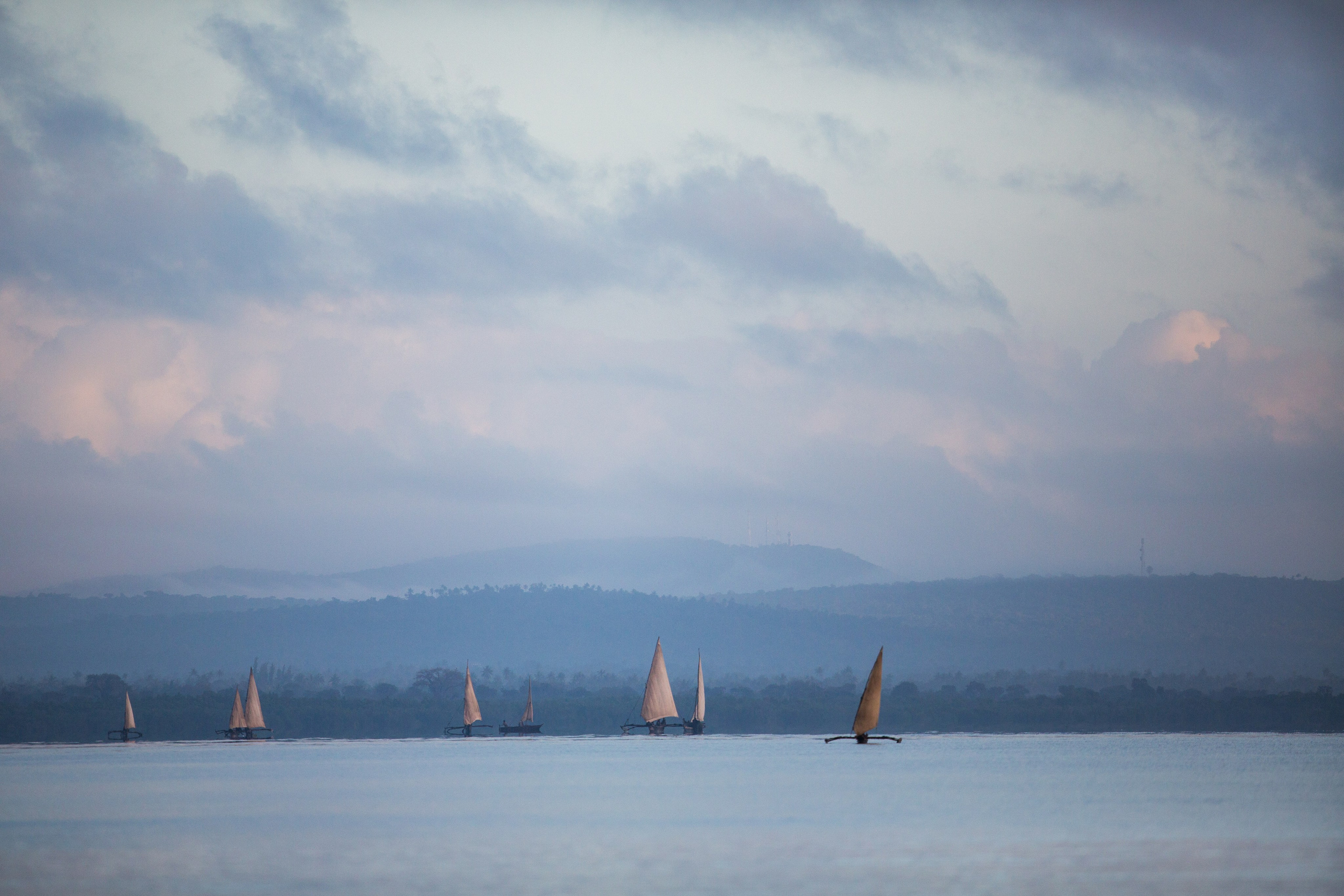 Танзания. Добродеева Алла фотограф, Москва
