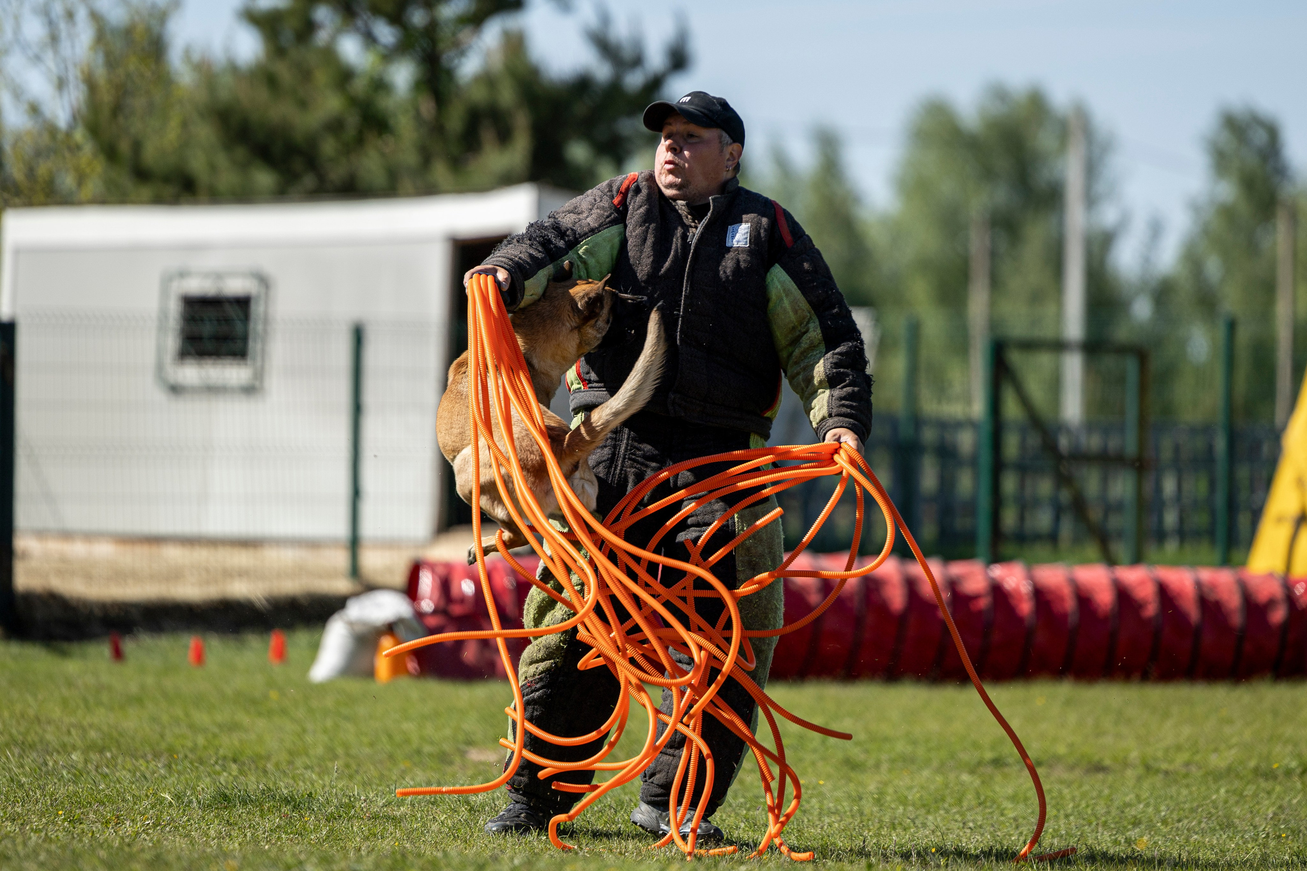 Испытания по мондьорингу в Нижнем Новгороде. Фотограф-анималист Анна Маринич