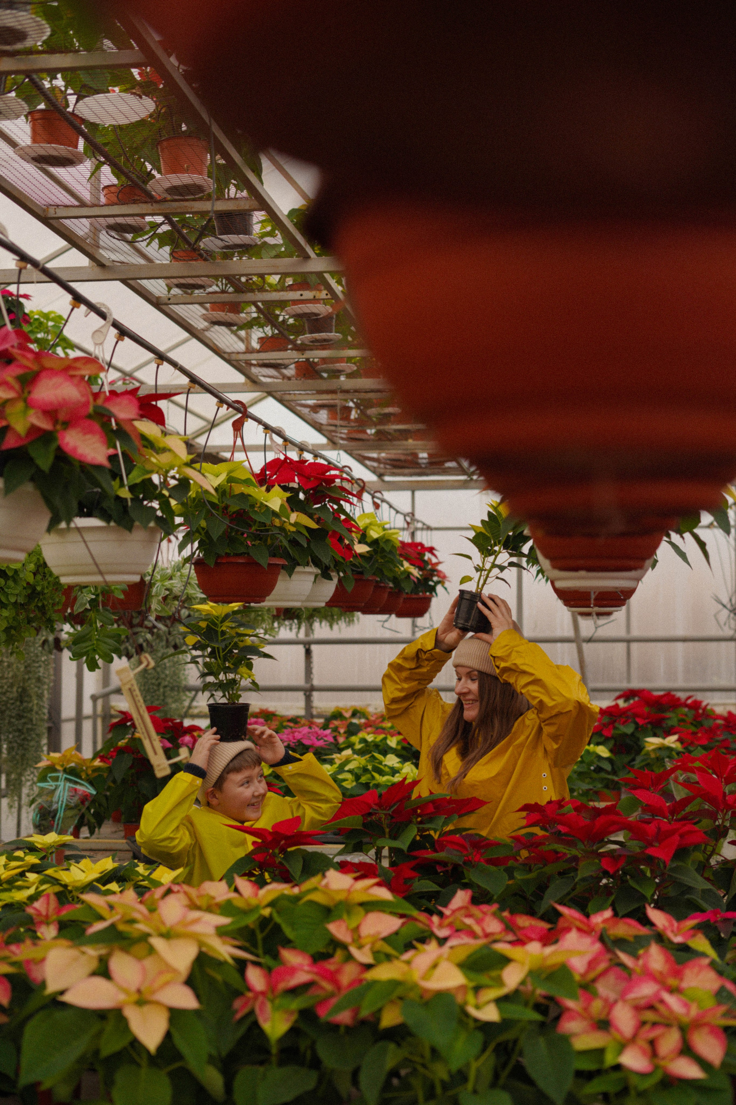 Осень и ее прелести. Свадебный и семейный фотограф Афанасьева Анна в Кисловодске